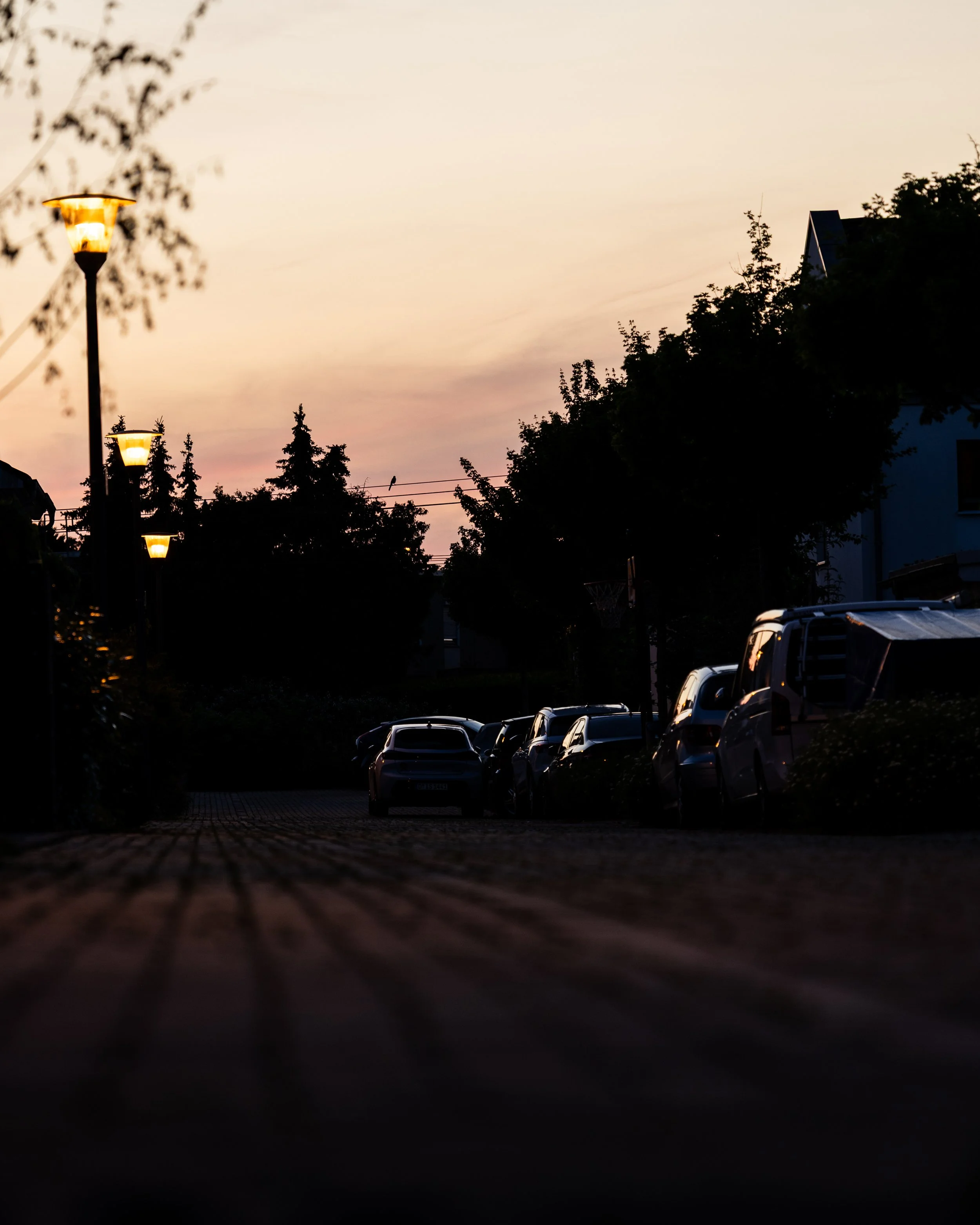No. 176 - Evening