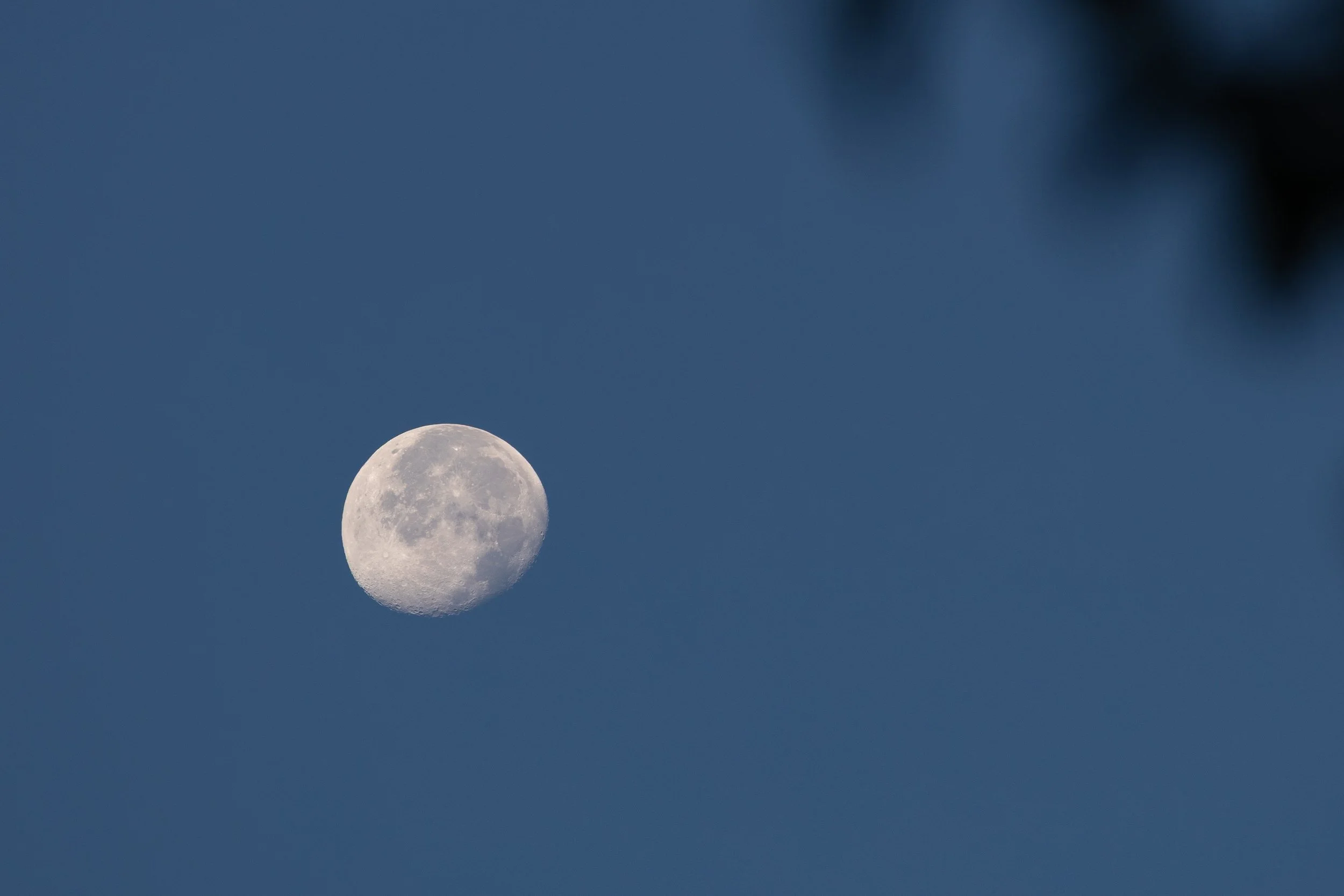 No. 272 - Morning Moon