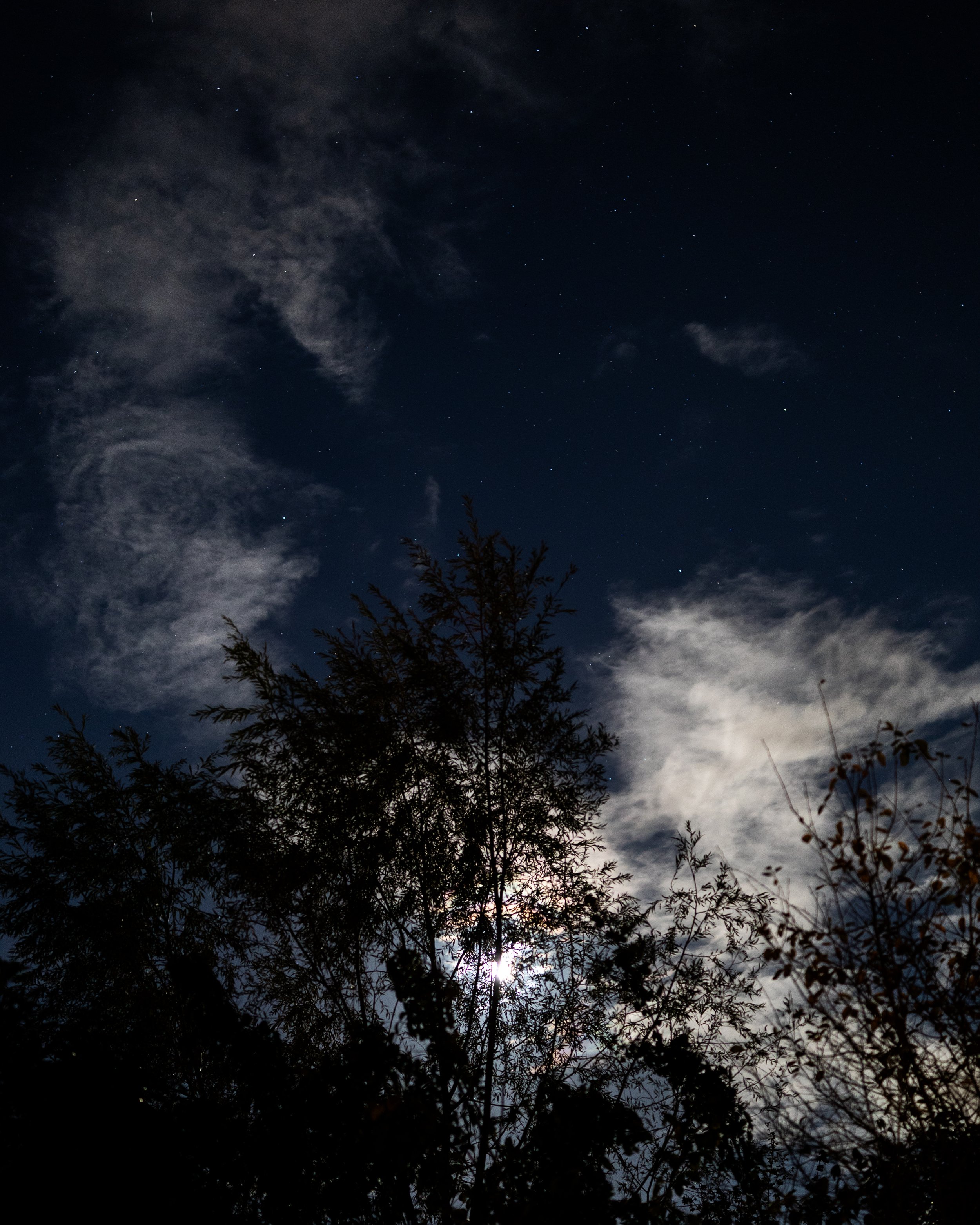 No. 324 Moon & Stars