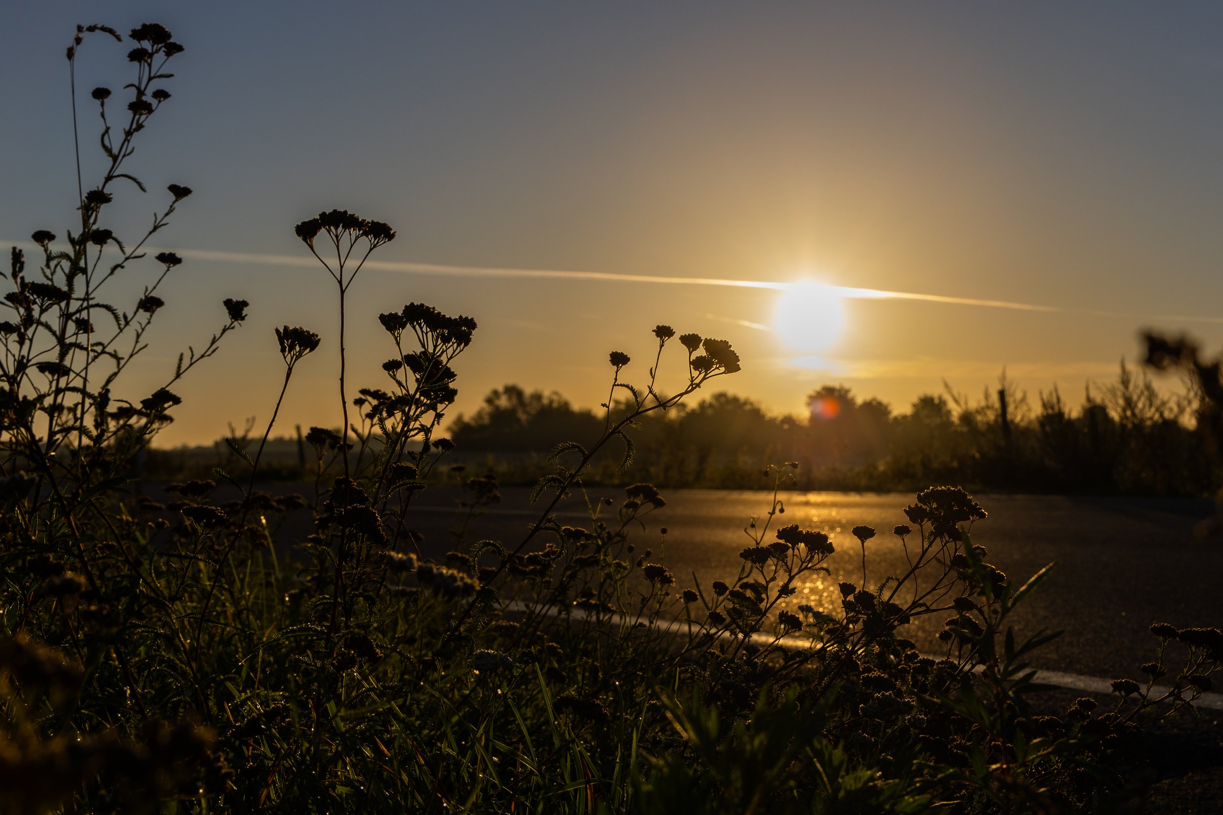 No. 278 - Good Morning