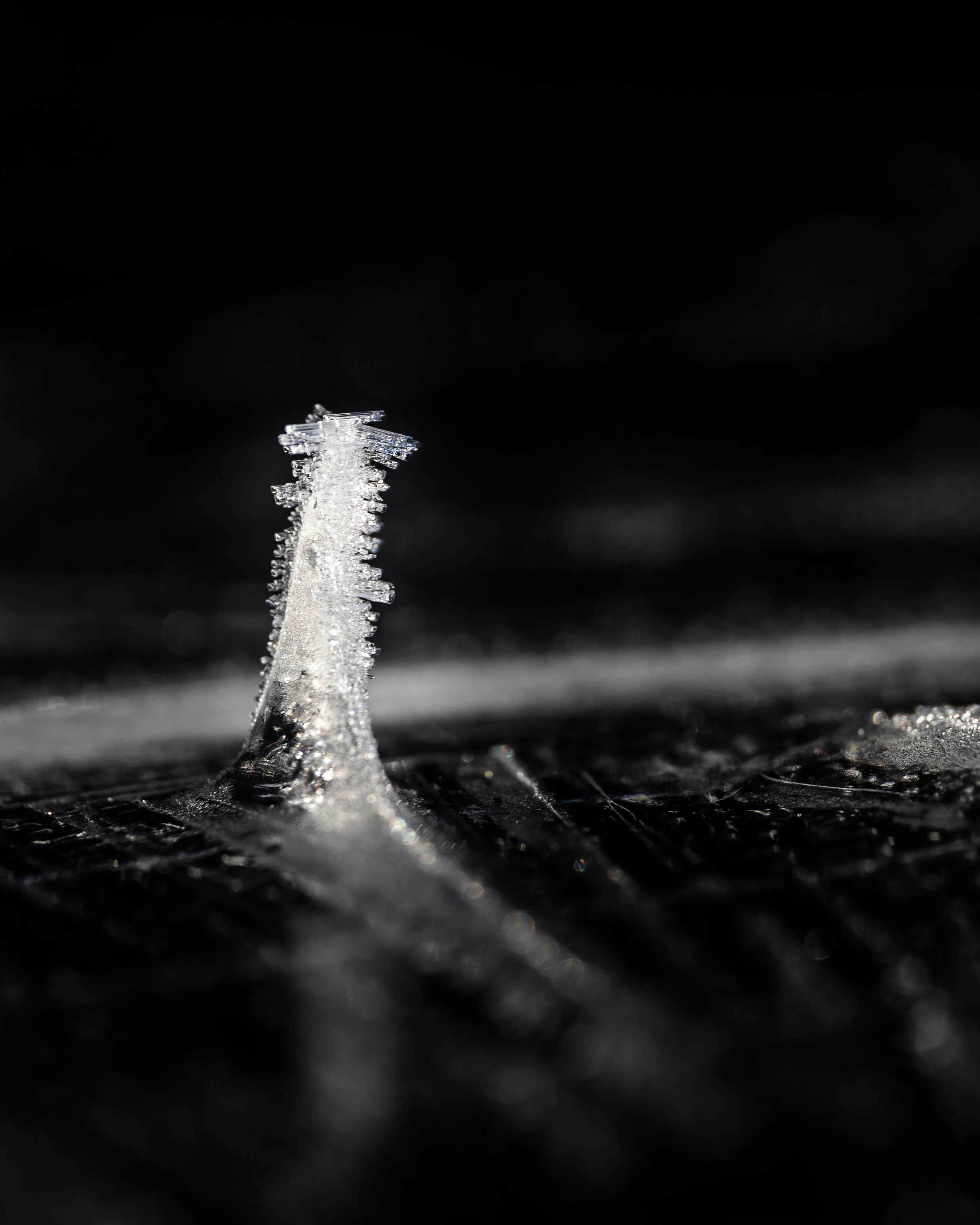 No. 77 - Ice Sculpture