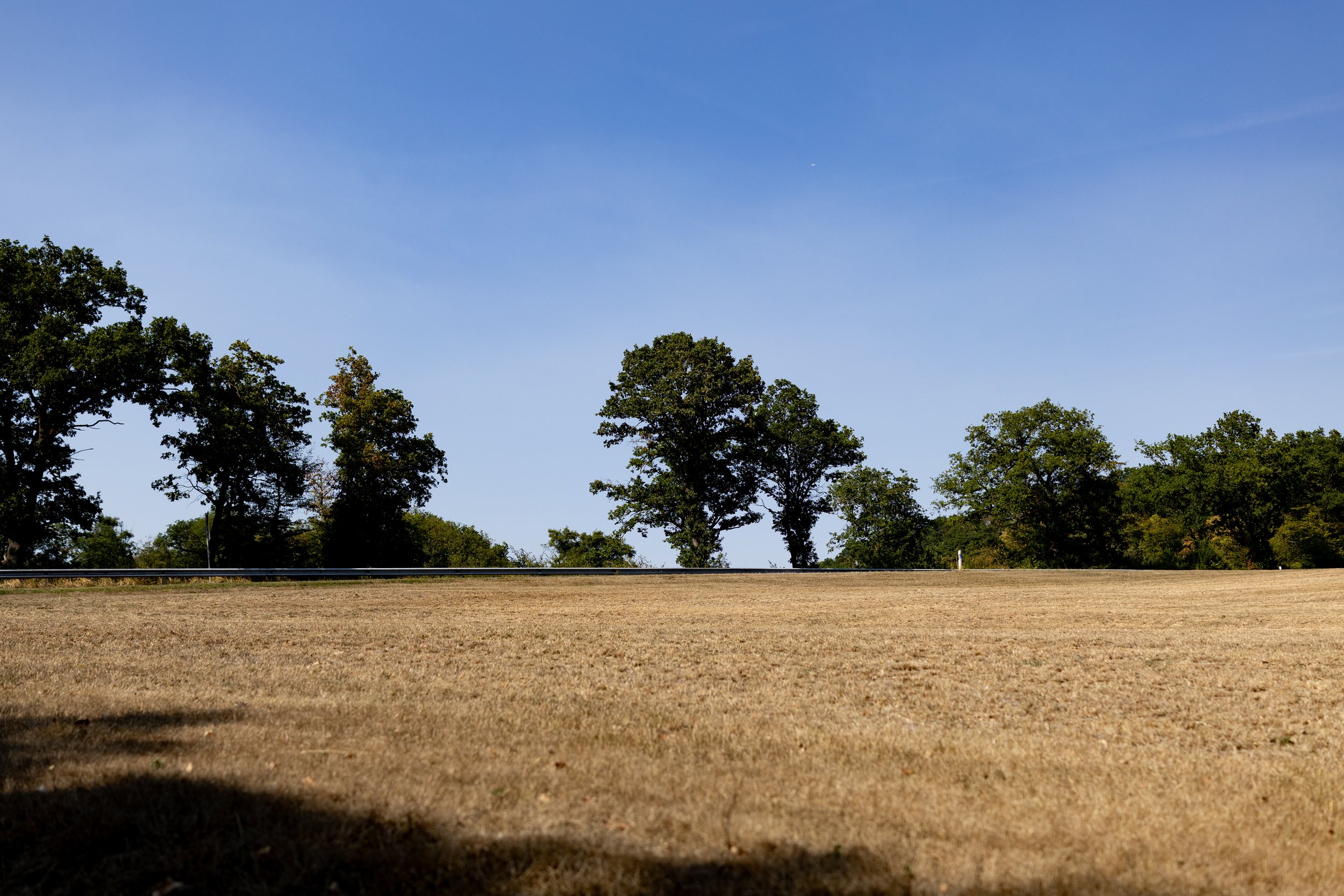 No. 255 - Natures Skyline