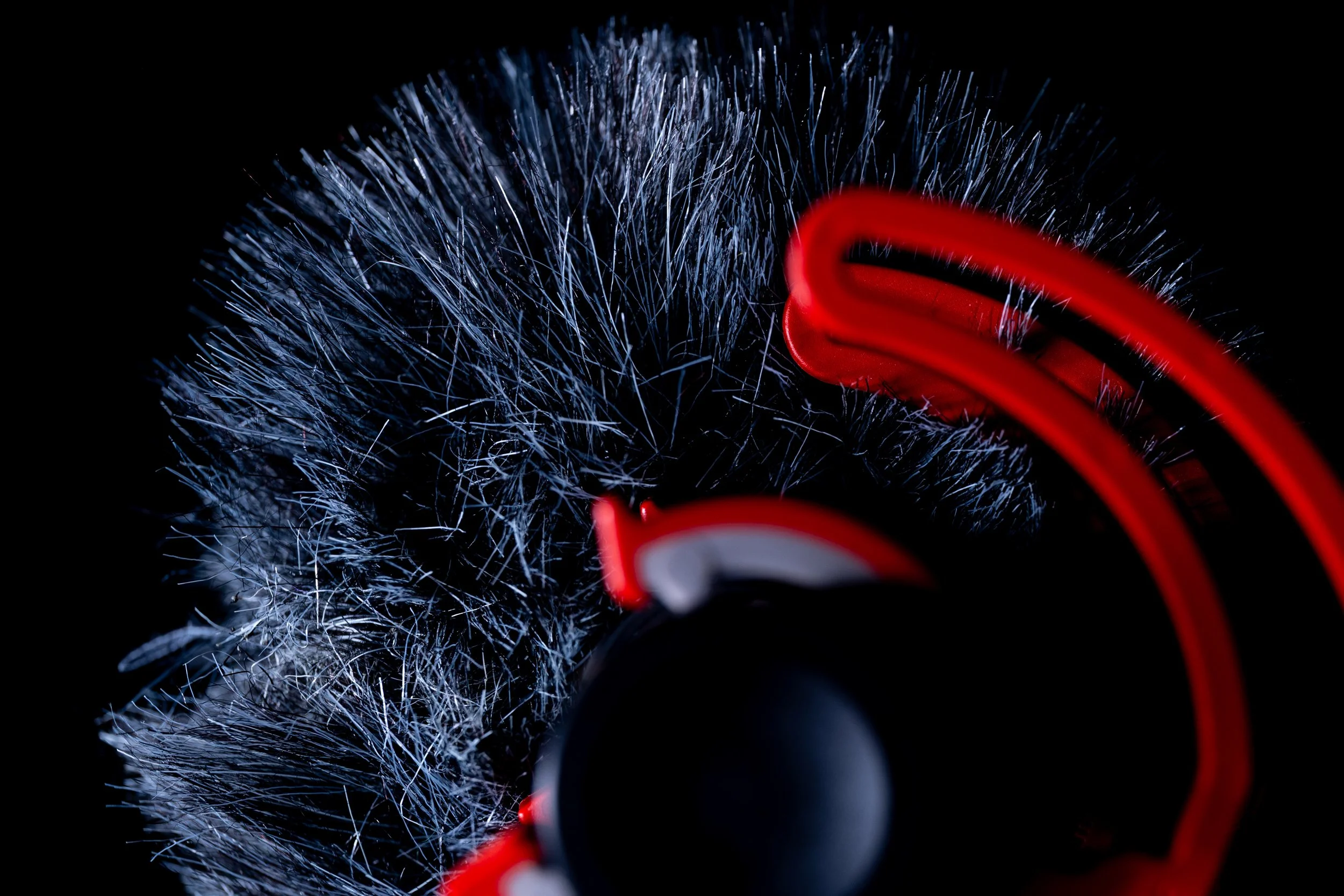 No. 100 - The Dead Cat