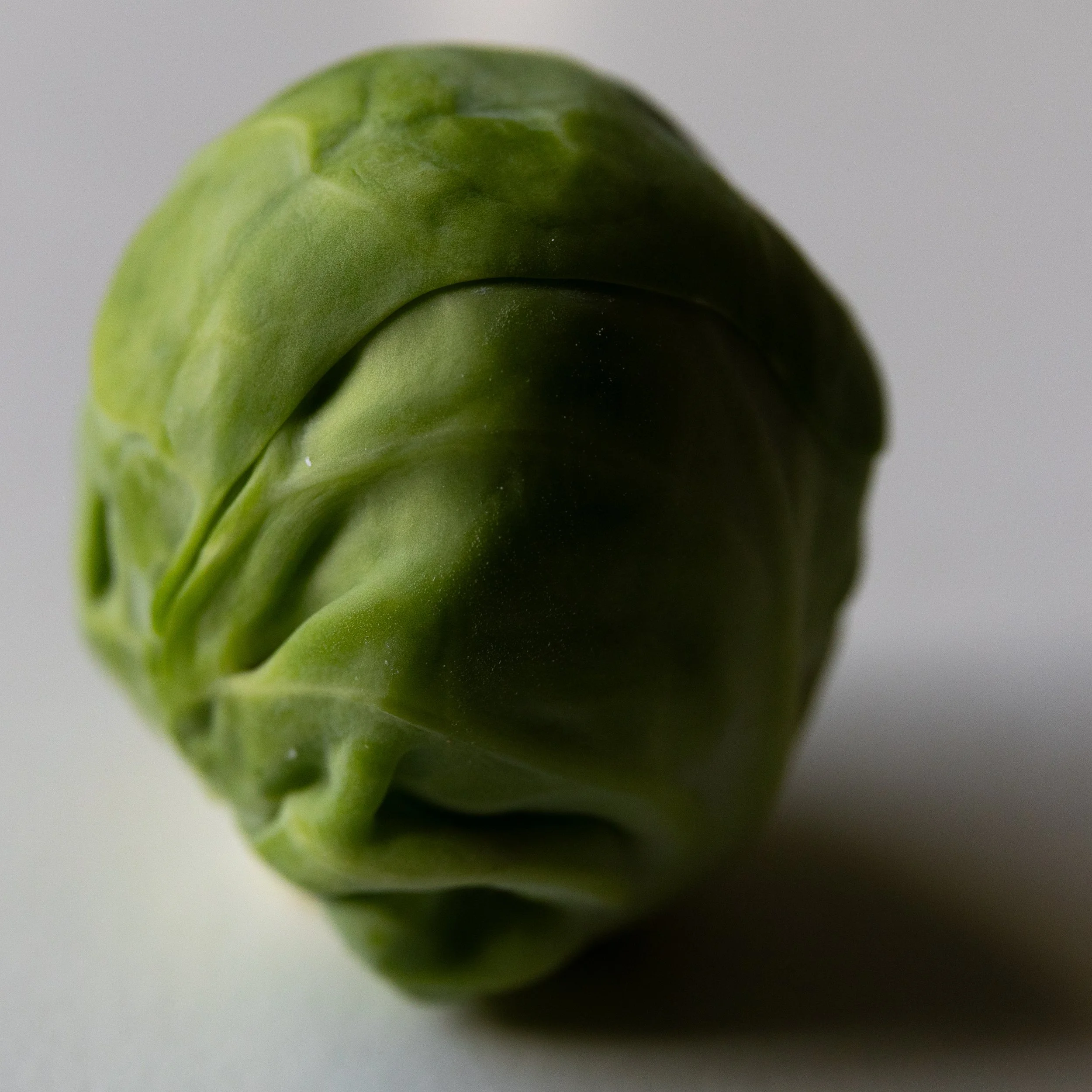 No. 317 - Brussels Sprout