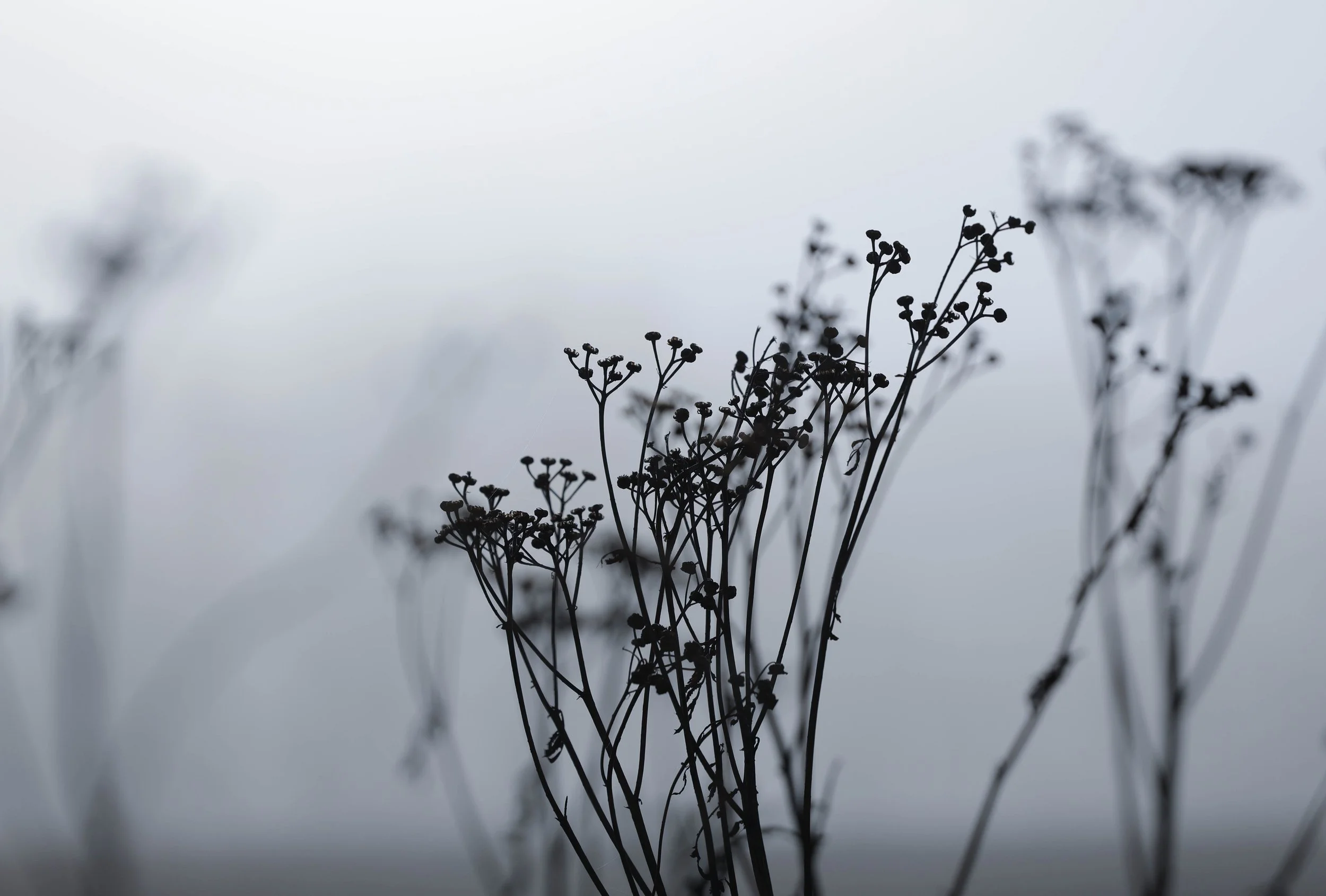 Kalender (5 von 31).jpg