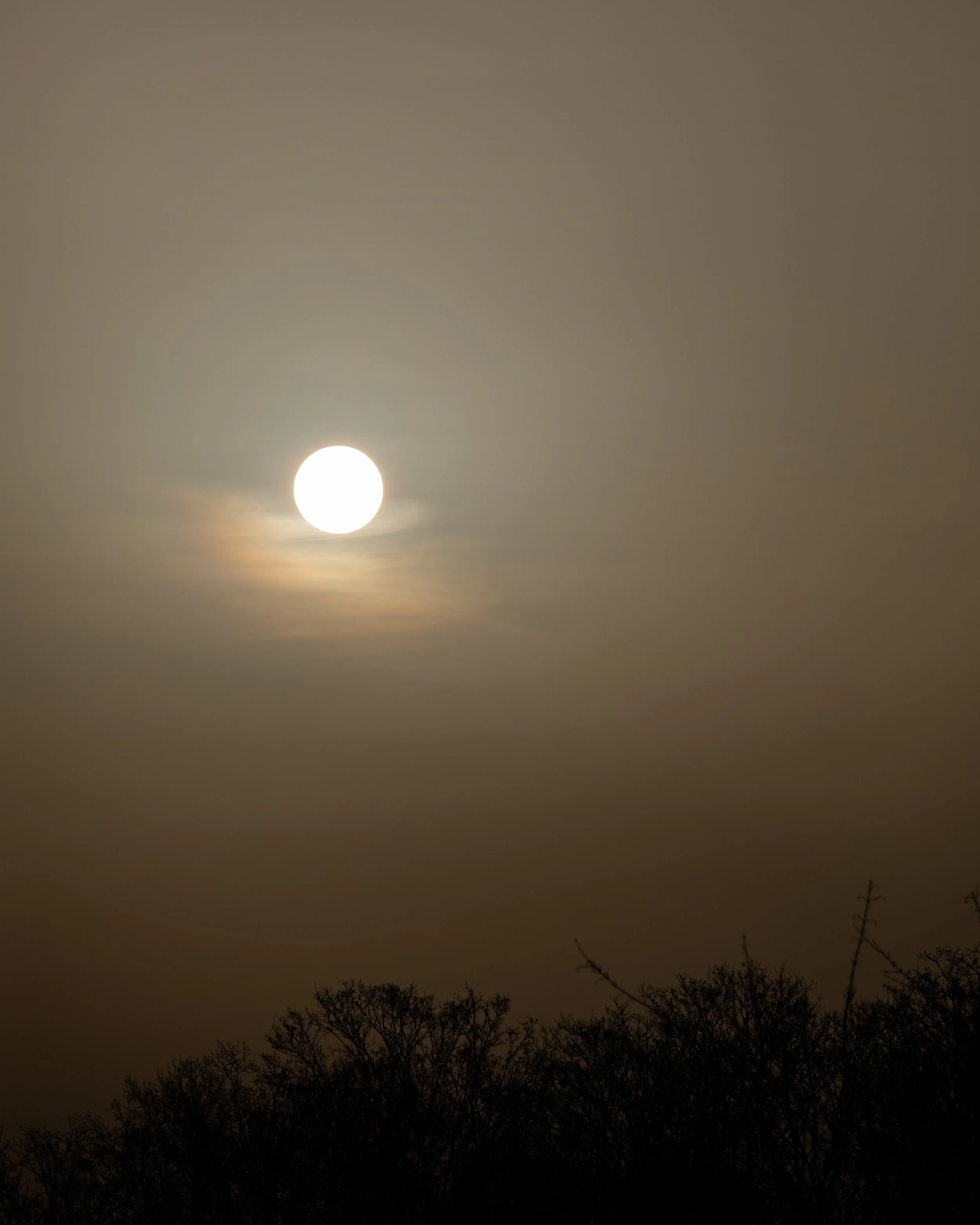 No. 96 - Dusty Sunrise