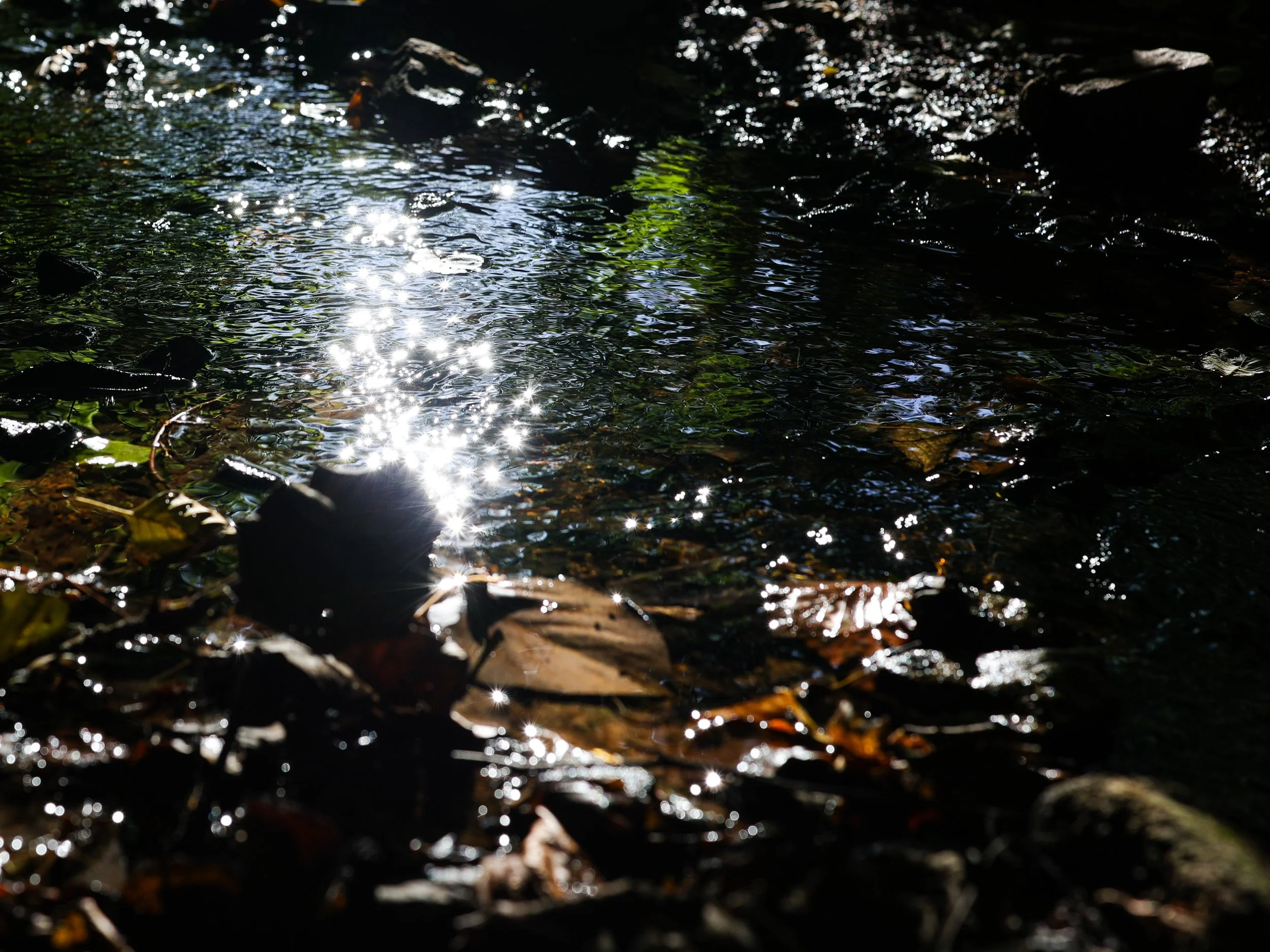 No. 294 - Water