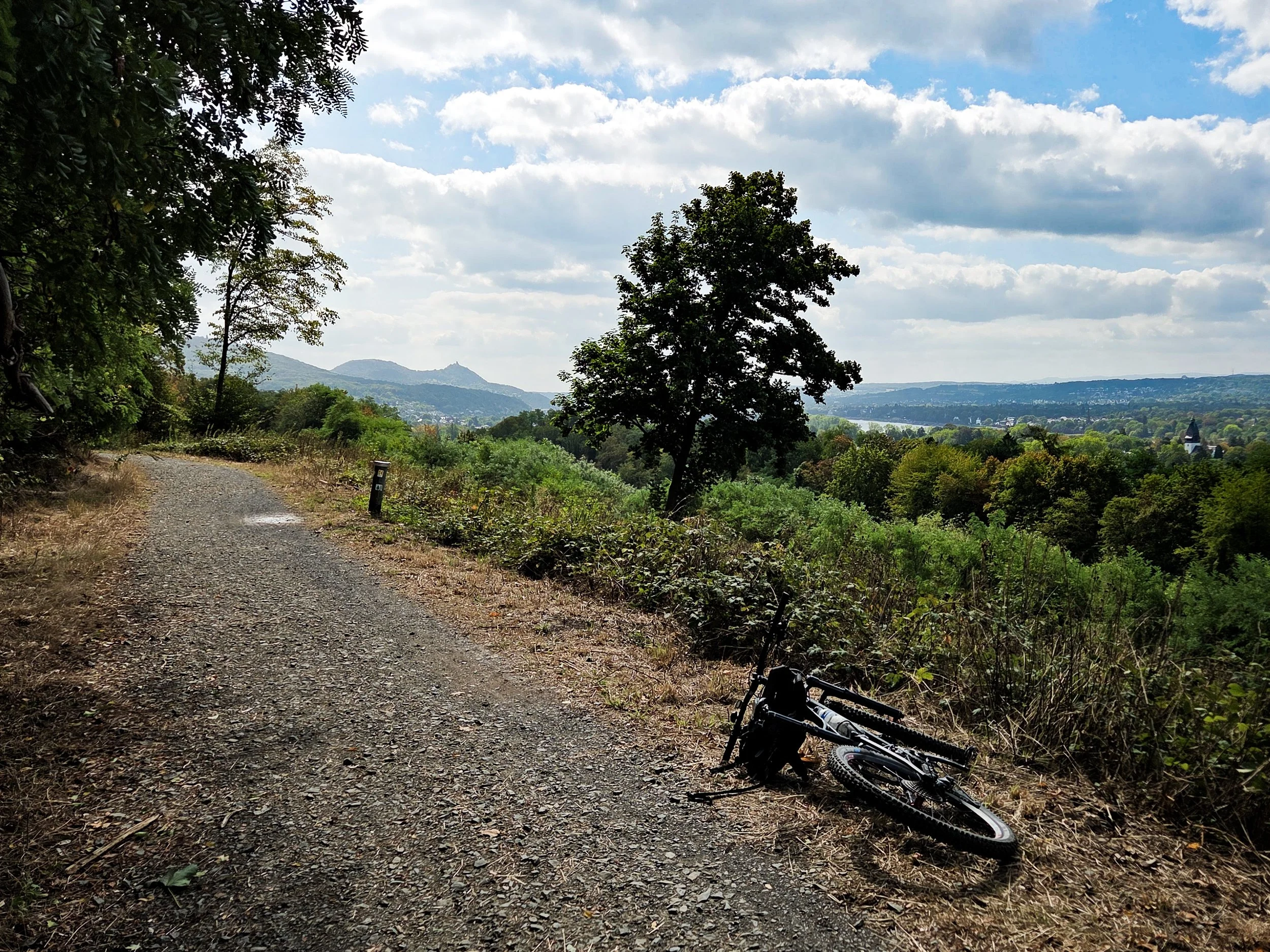 No. 264 - Sunday Bike Tour