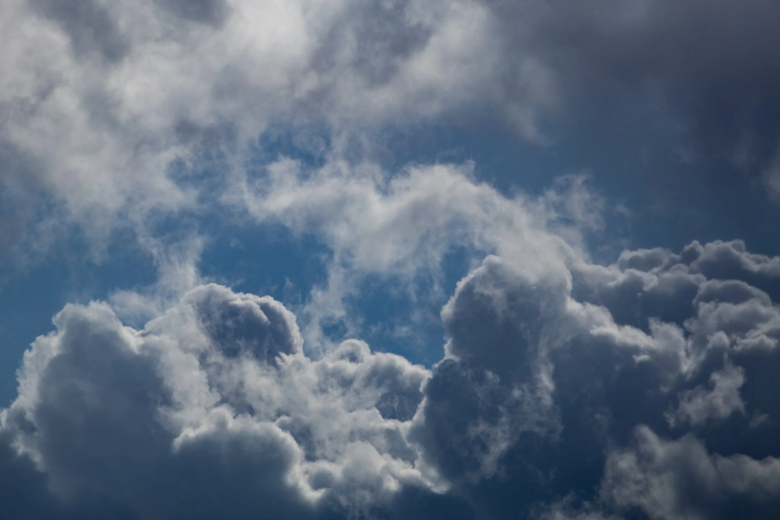 No. 115 - Cottonwool Optics