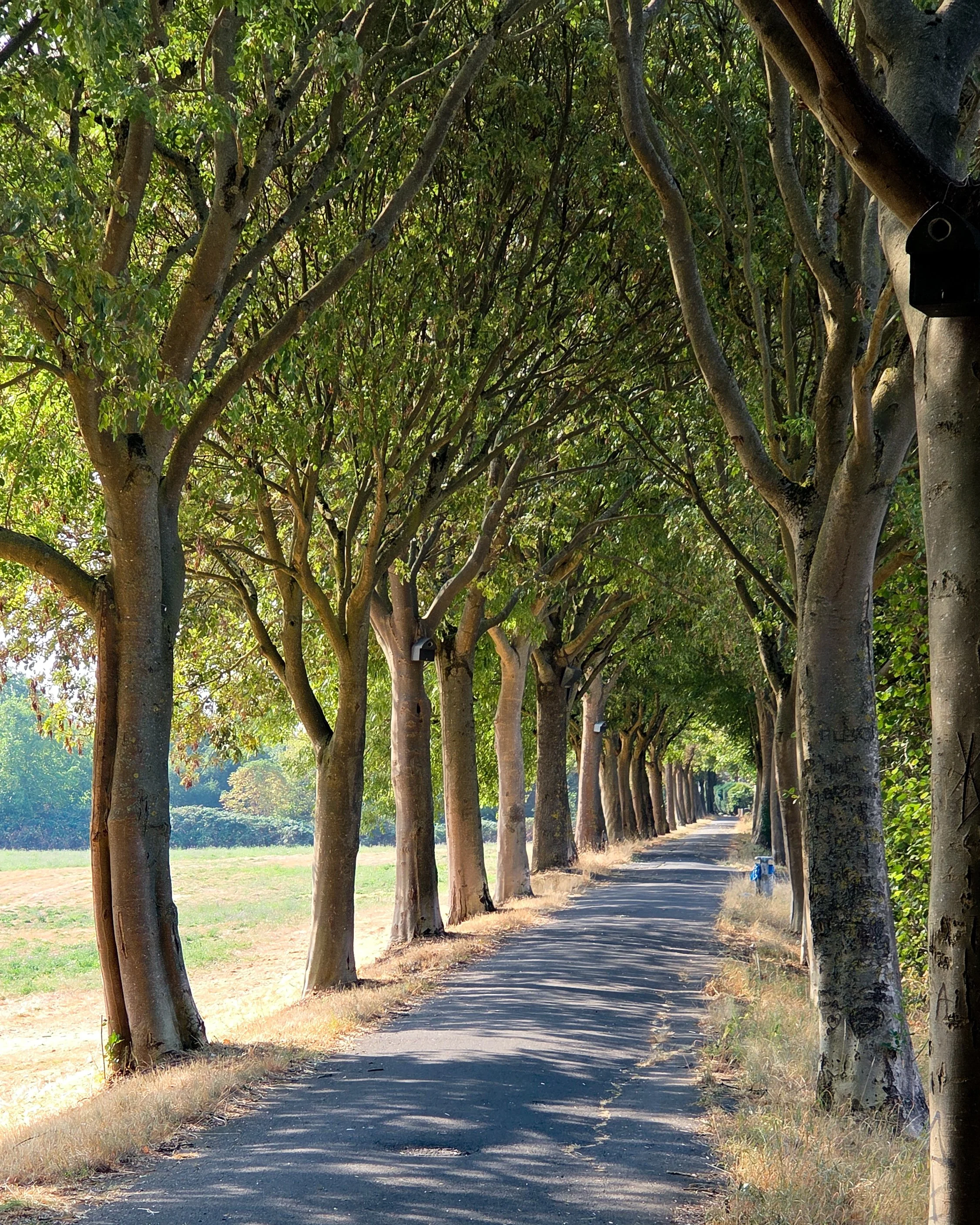 No. 257 - Long Way To Go