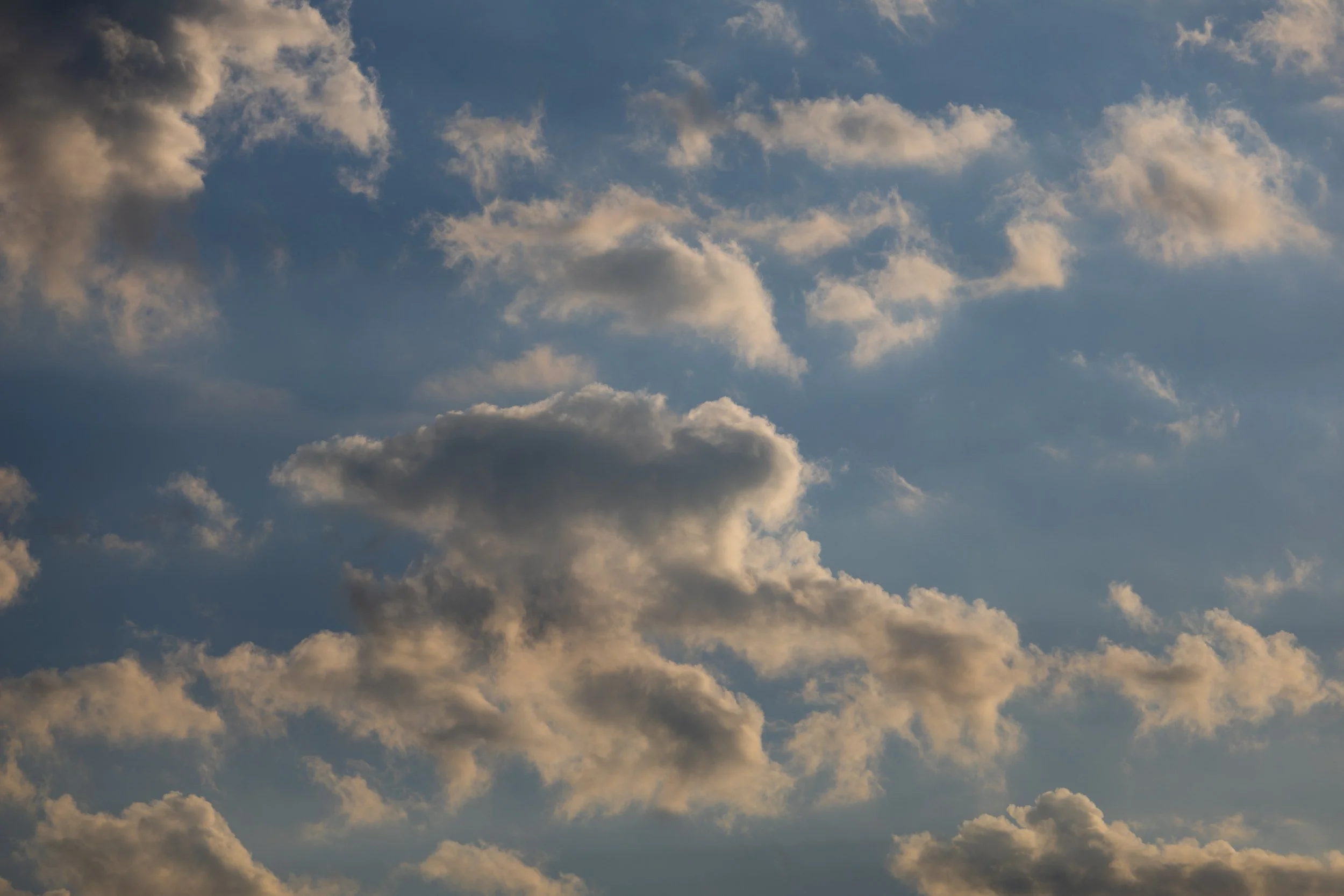 No. 223 - Morning Clouds