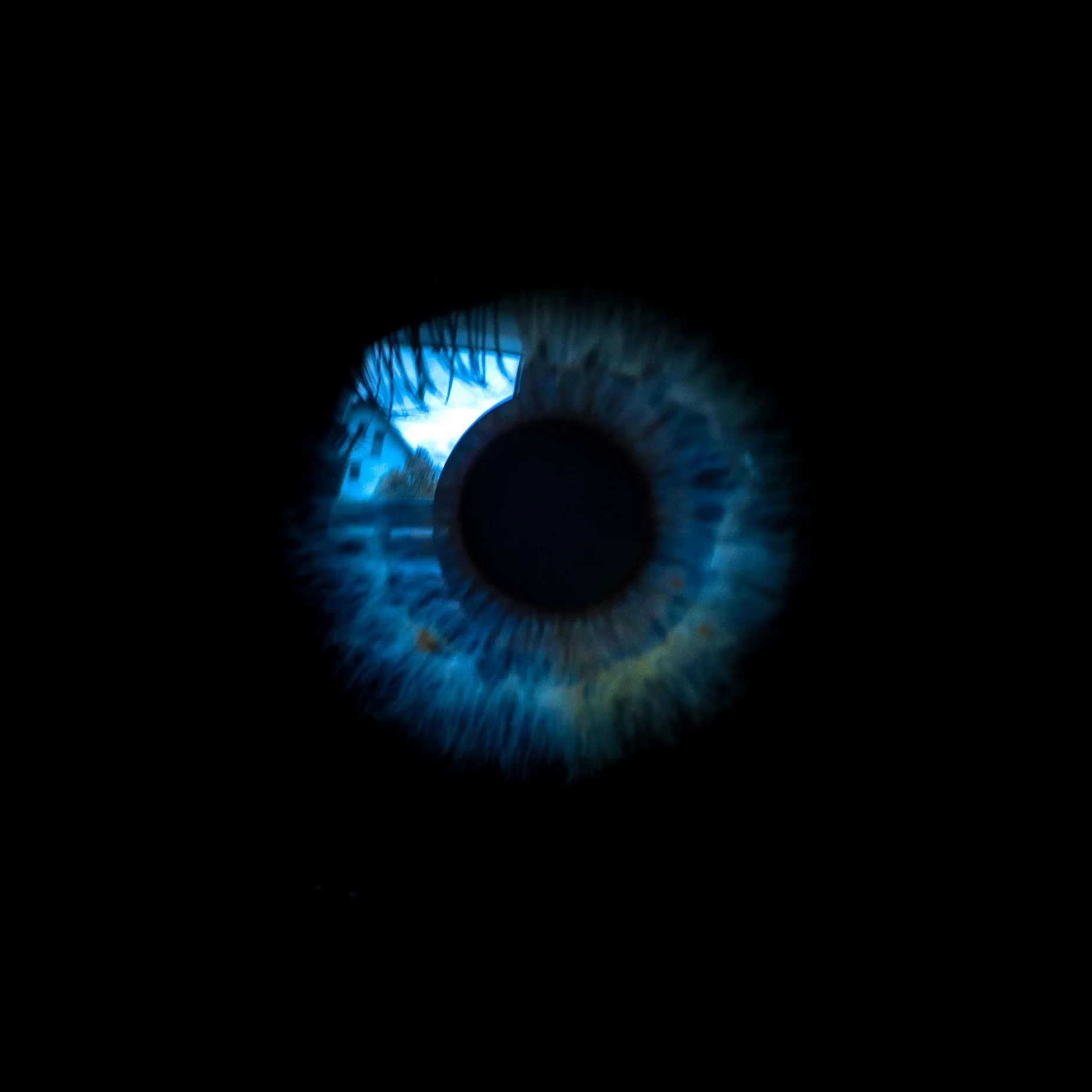 No. 168 - Seeing