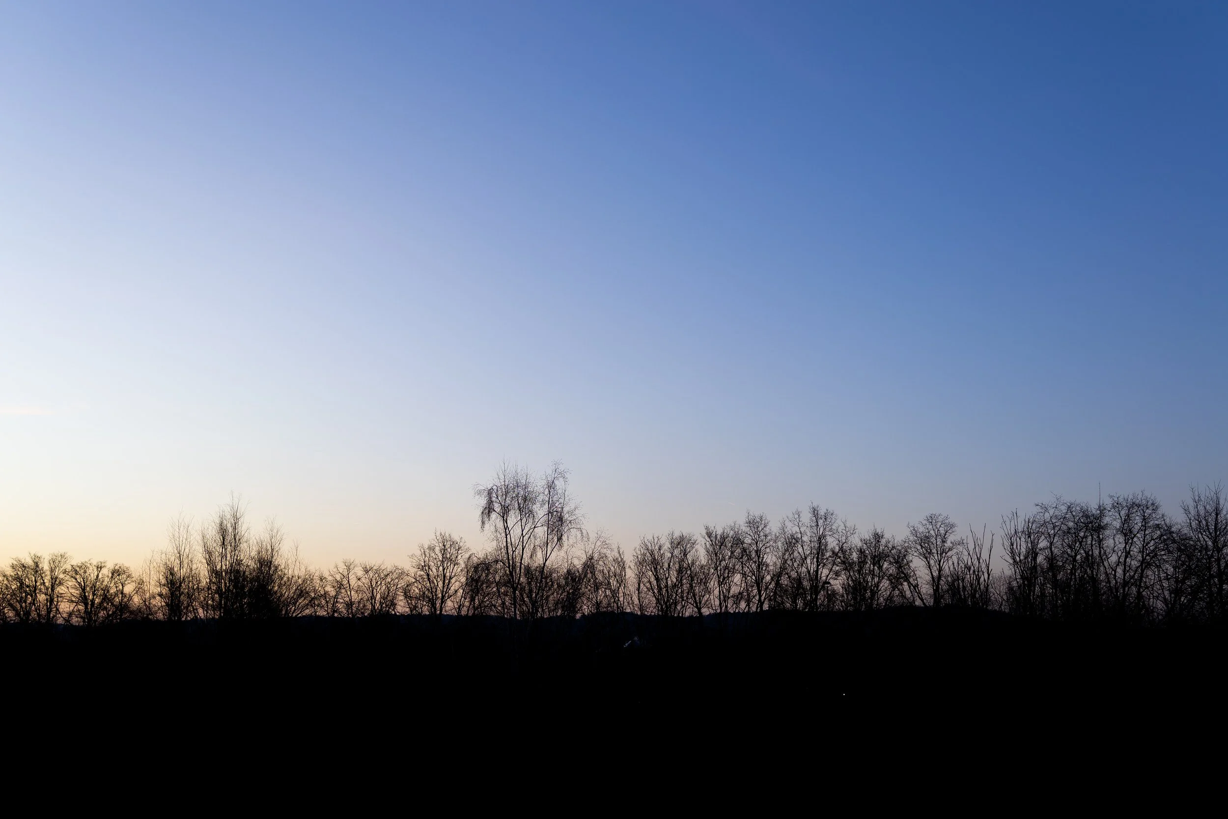 No. 89 - Morningvibes