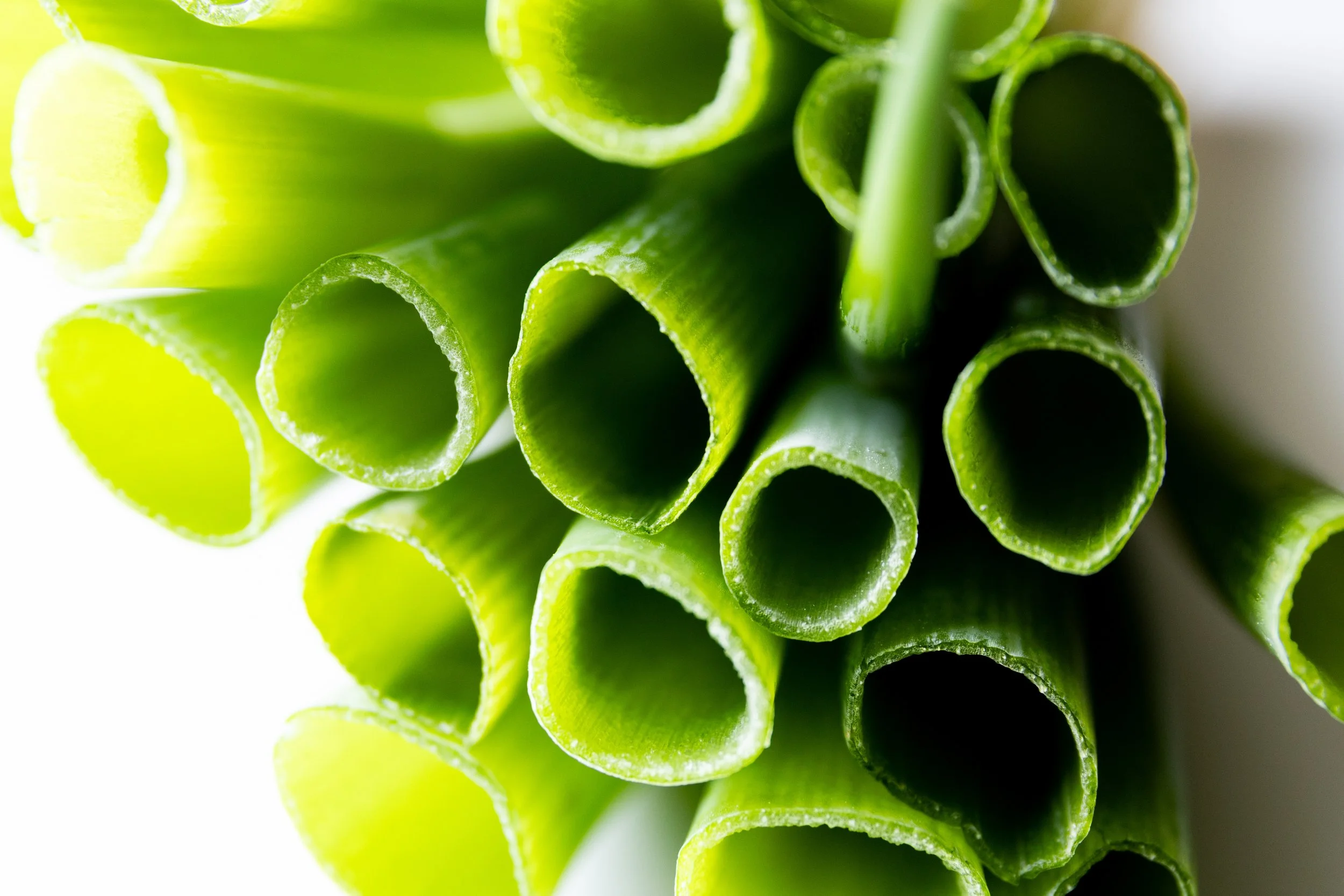 No. 225 - Shades of Green