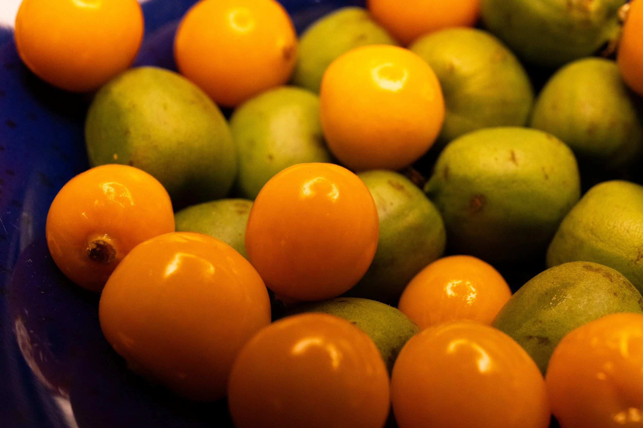 No. 328 - Fruits