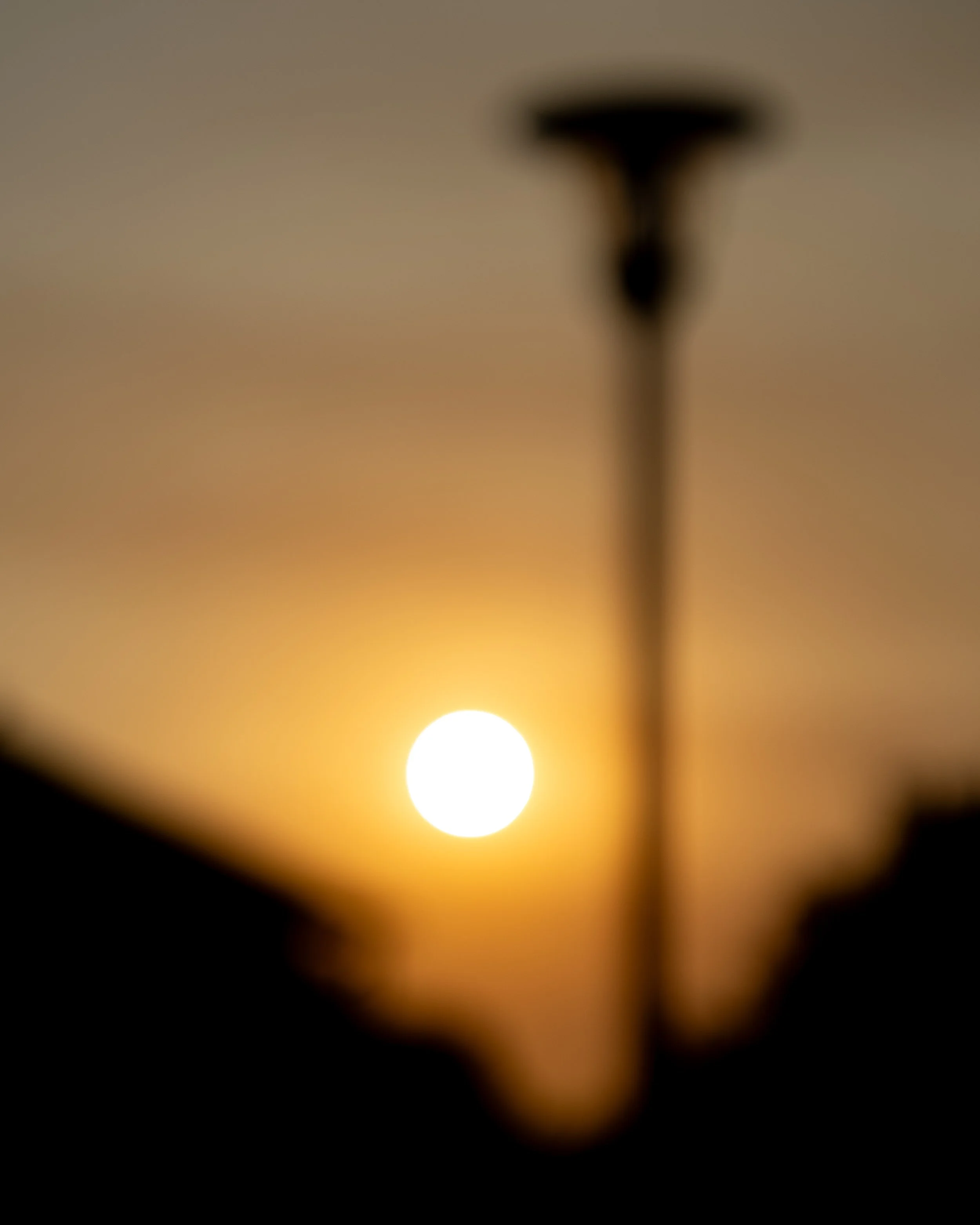 No. 256 - Saturday Morning