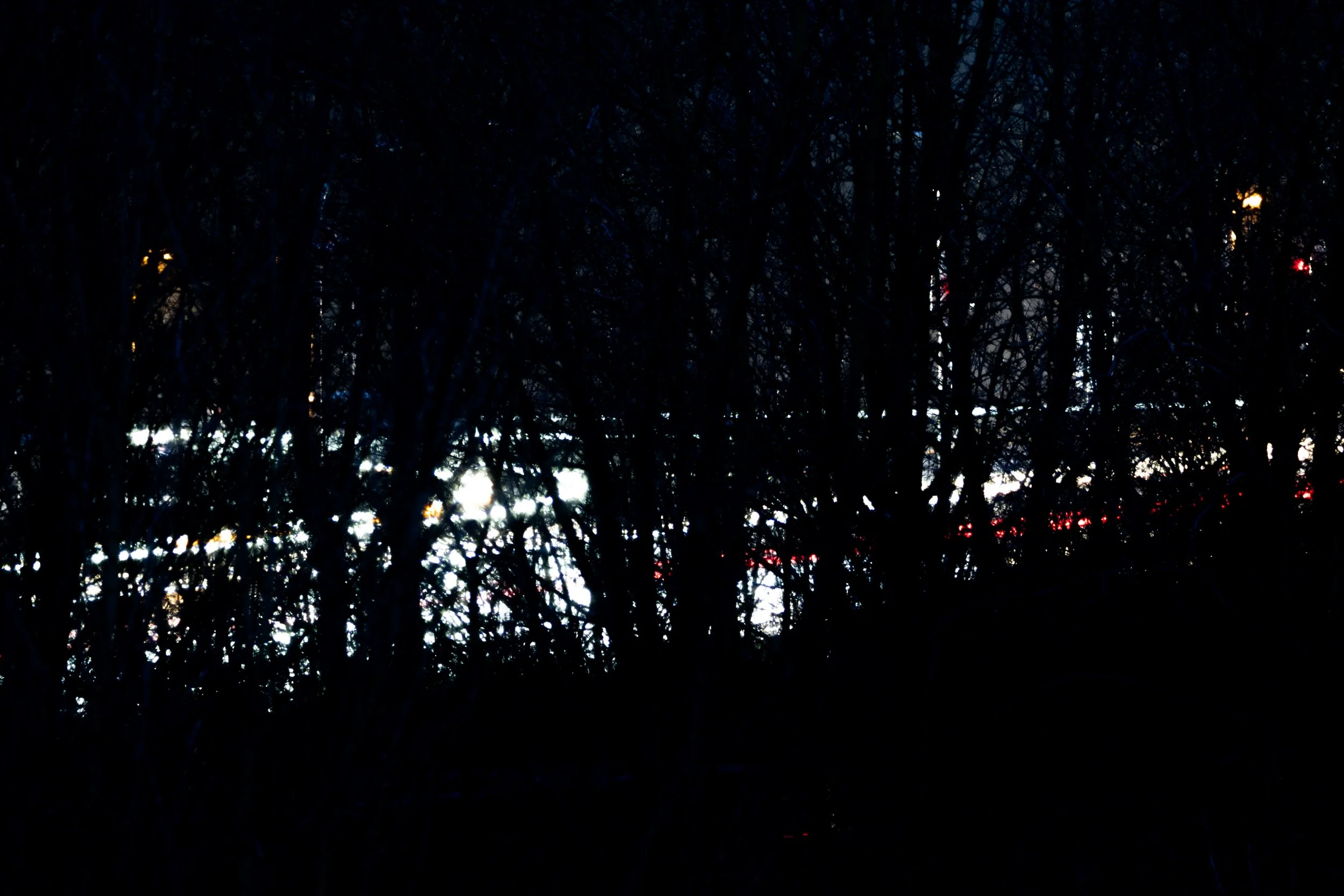 No. 59 - Traffic Behind Trees