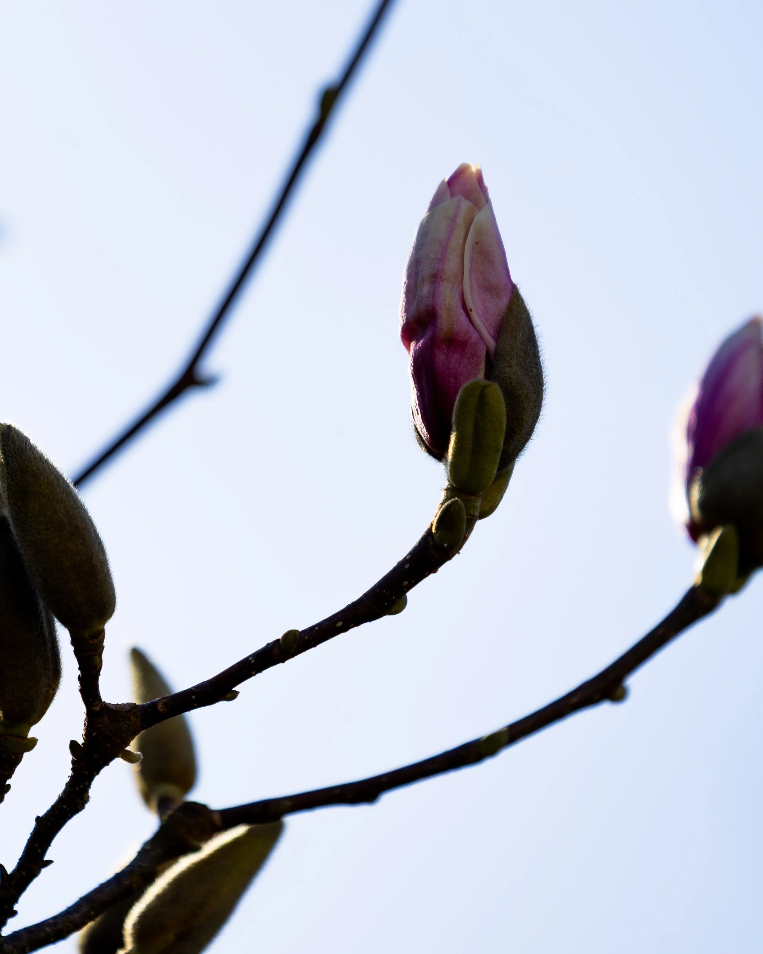 No. 95 - Warm Weather