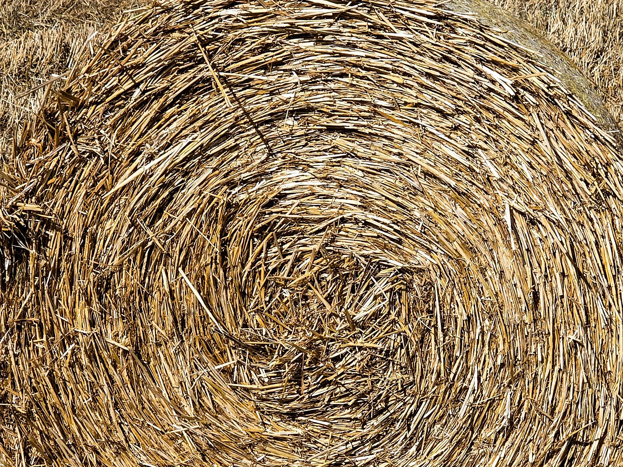 No. 222 - Straw