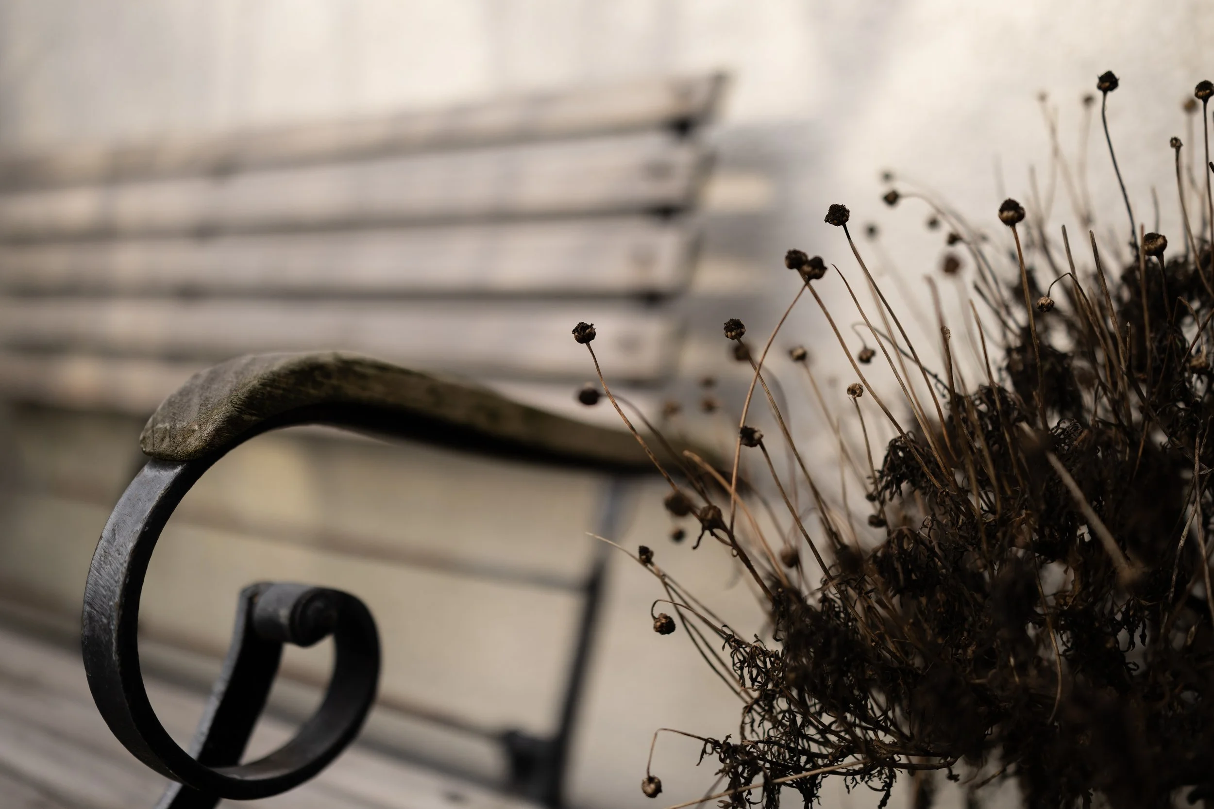 No. 24 - Winter Rest