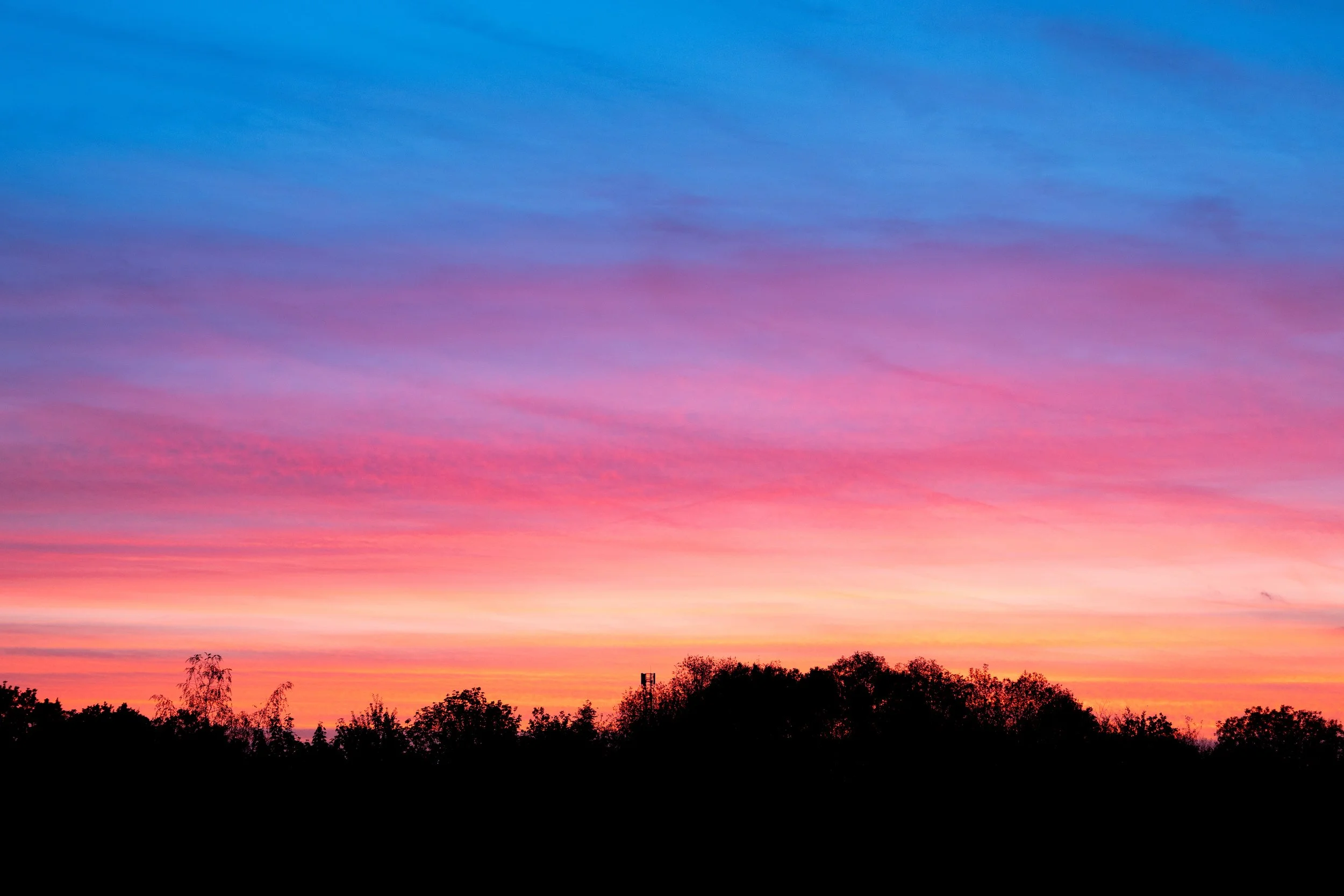 No. 296 - Evening Colours