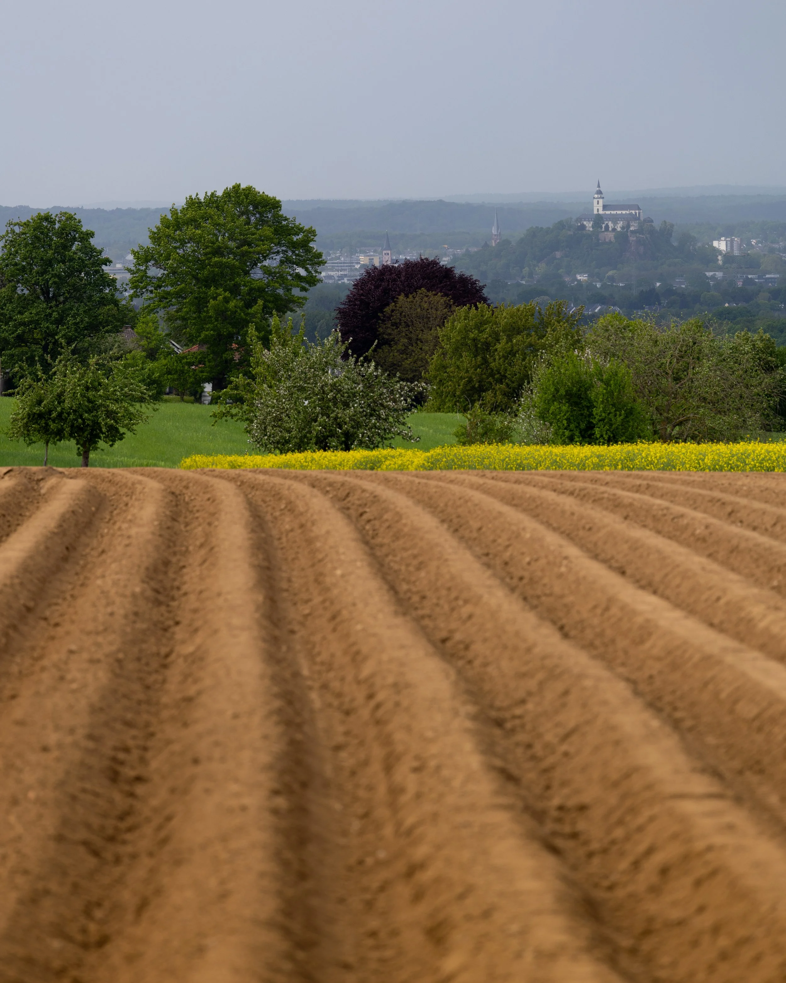 No. 151 - Fields