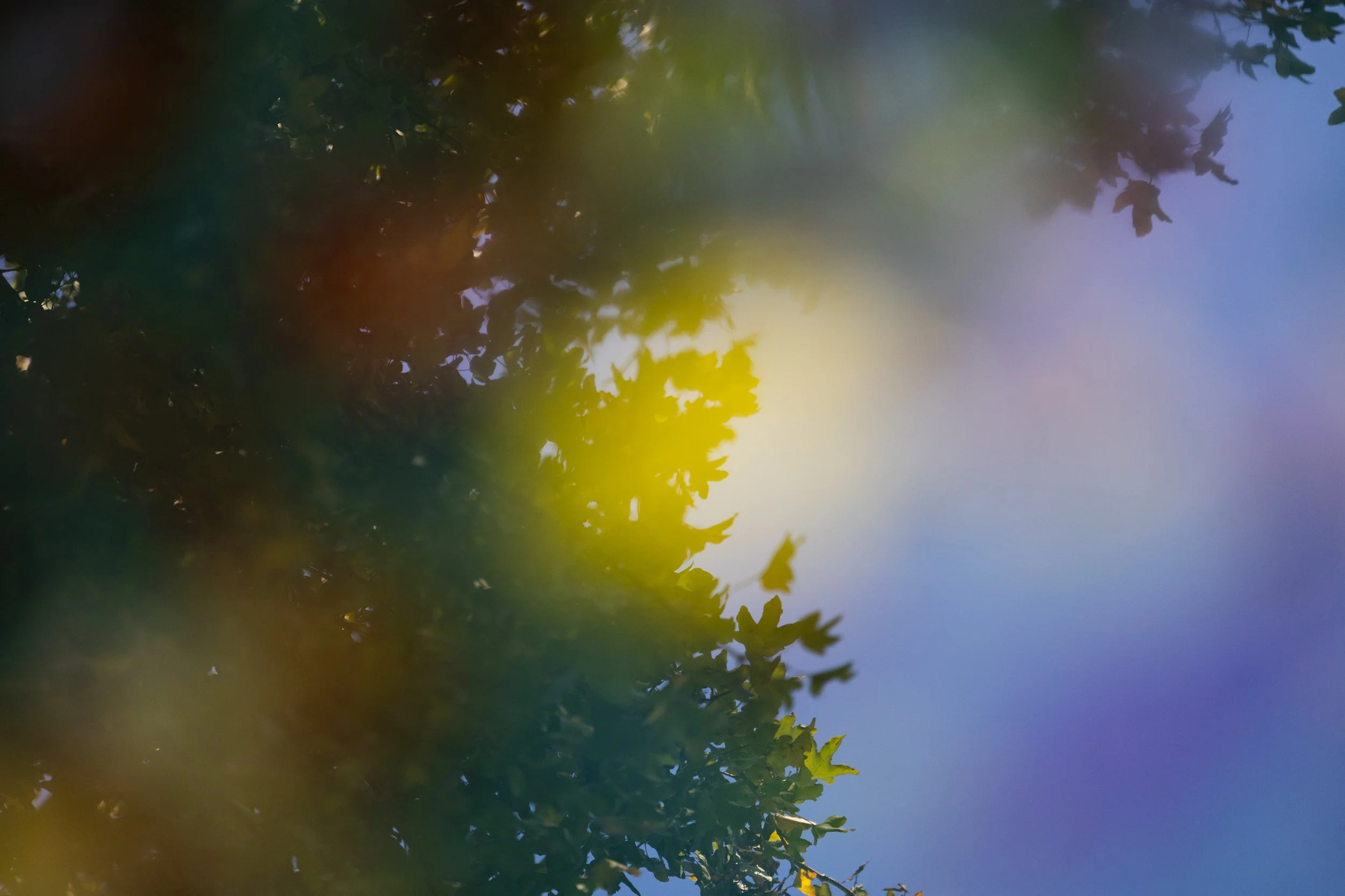 No. 330 - Autumn Reflection