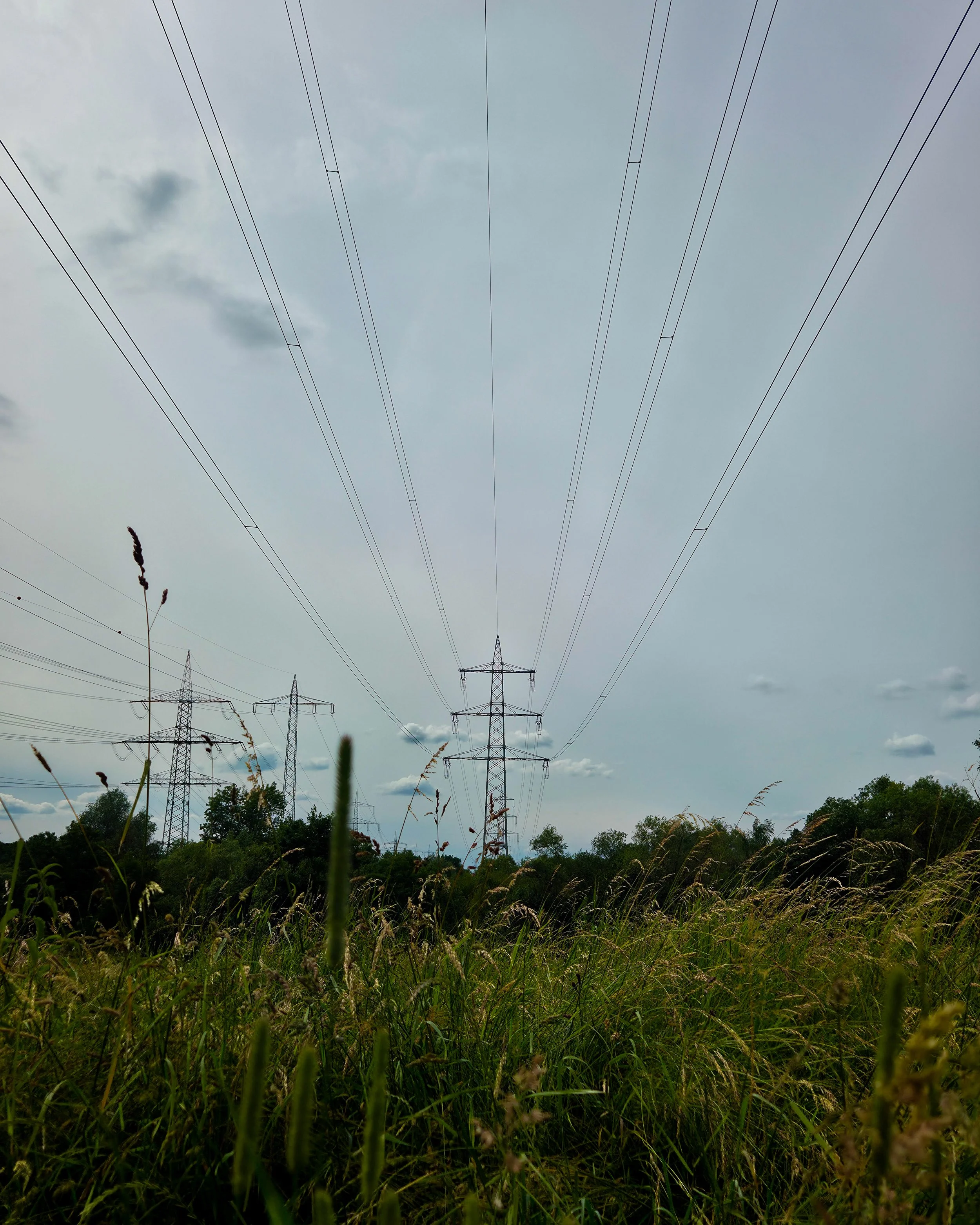 No. 191 - Powerline