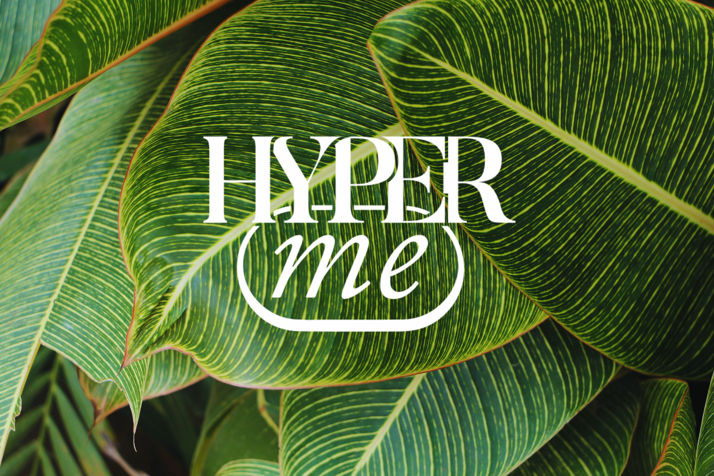 Hyperbaric Oxygen: Chamber Guide.&nbsp;