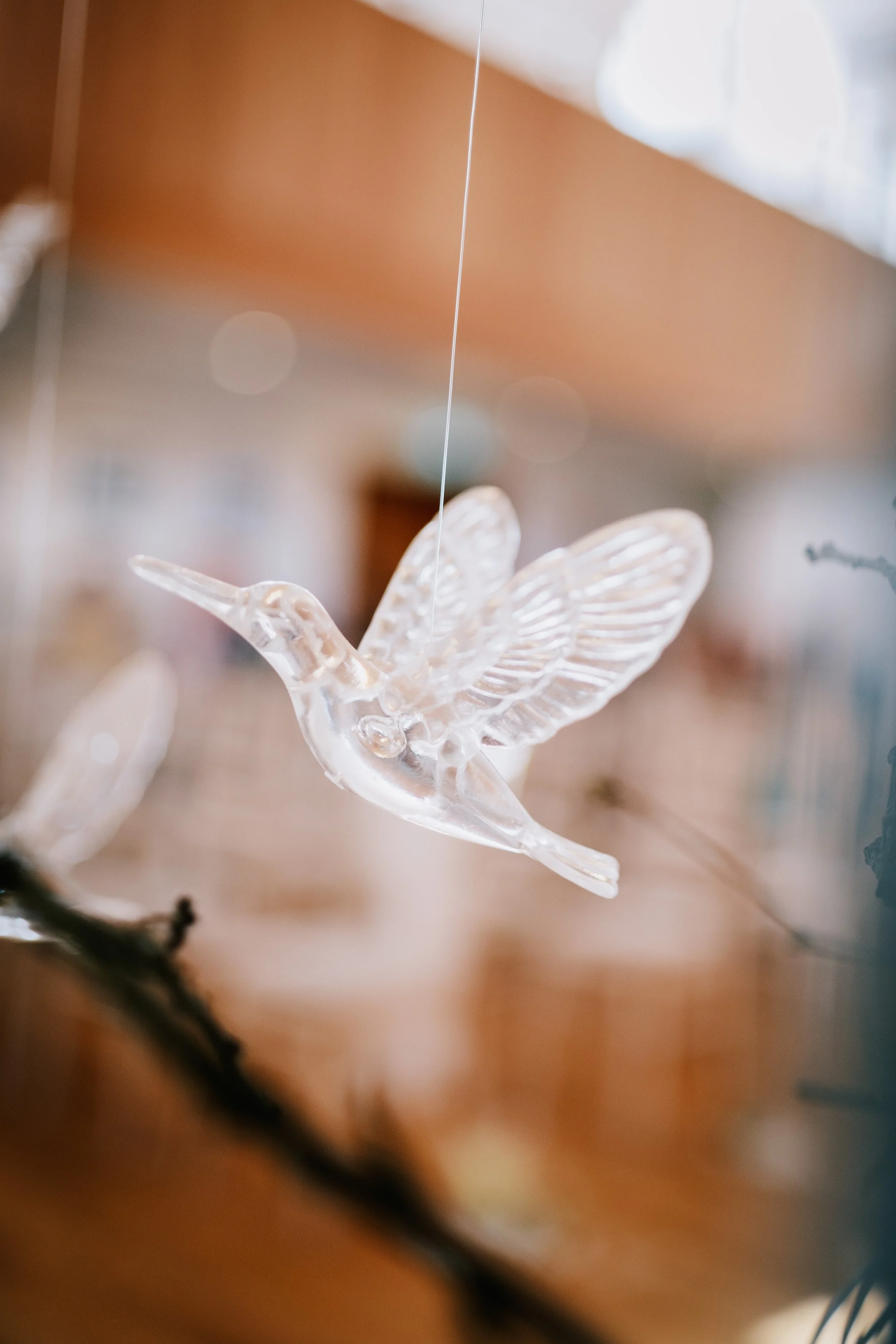 Tom Collins Wedding Photography Penarth13.jpg