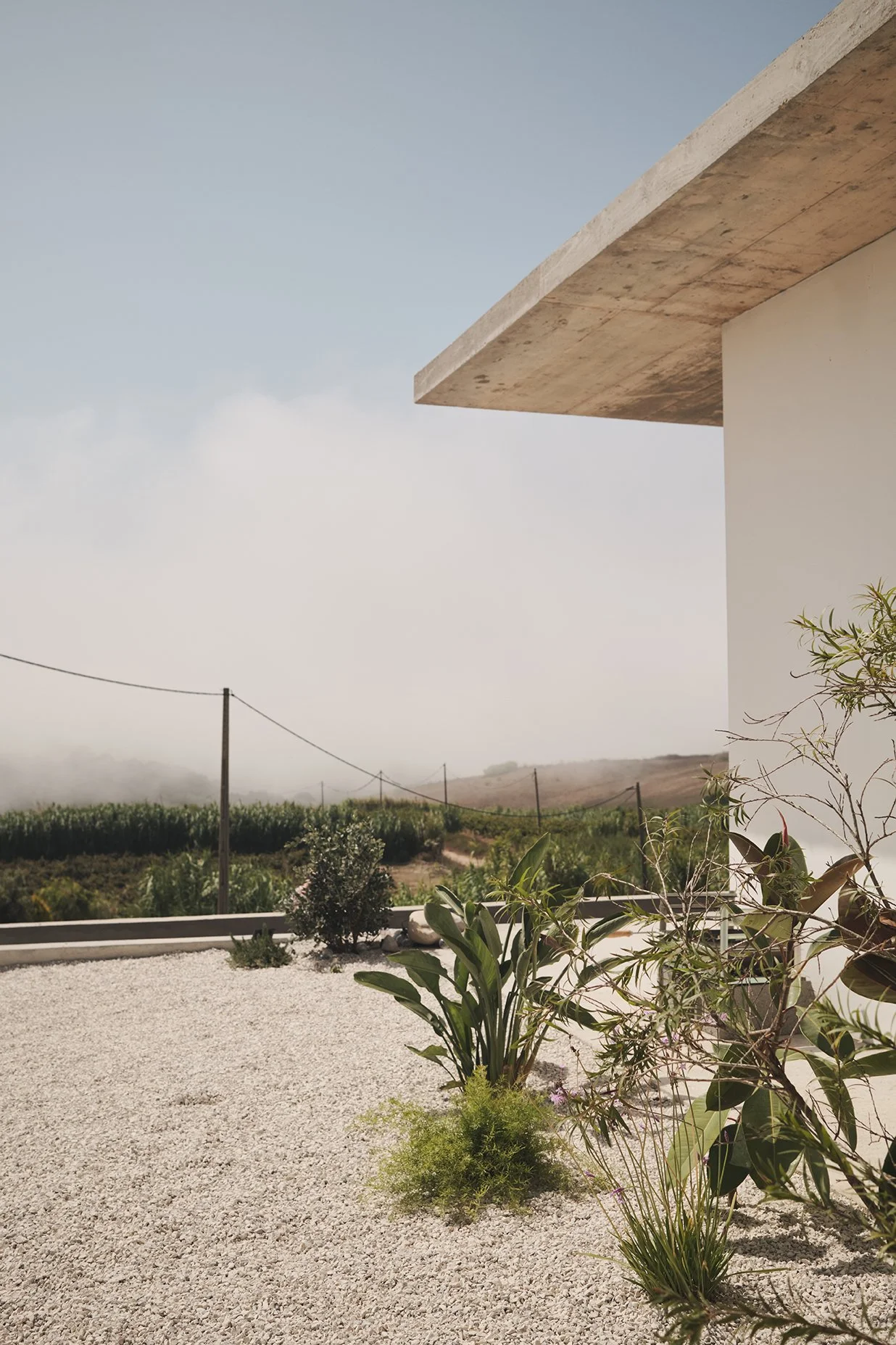 View of outdoor landscape through a window with grass and plants in the foreground, cloudy sky, and green hills in the distance.
