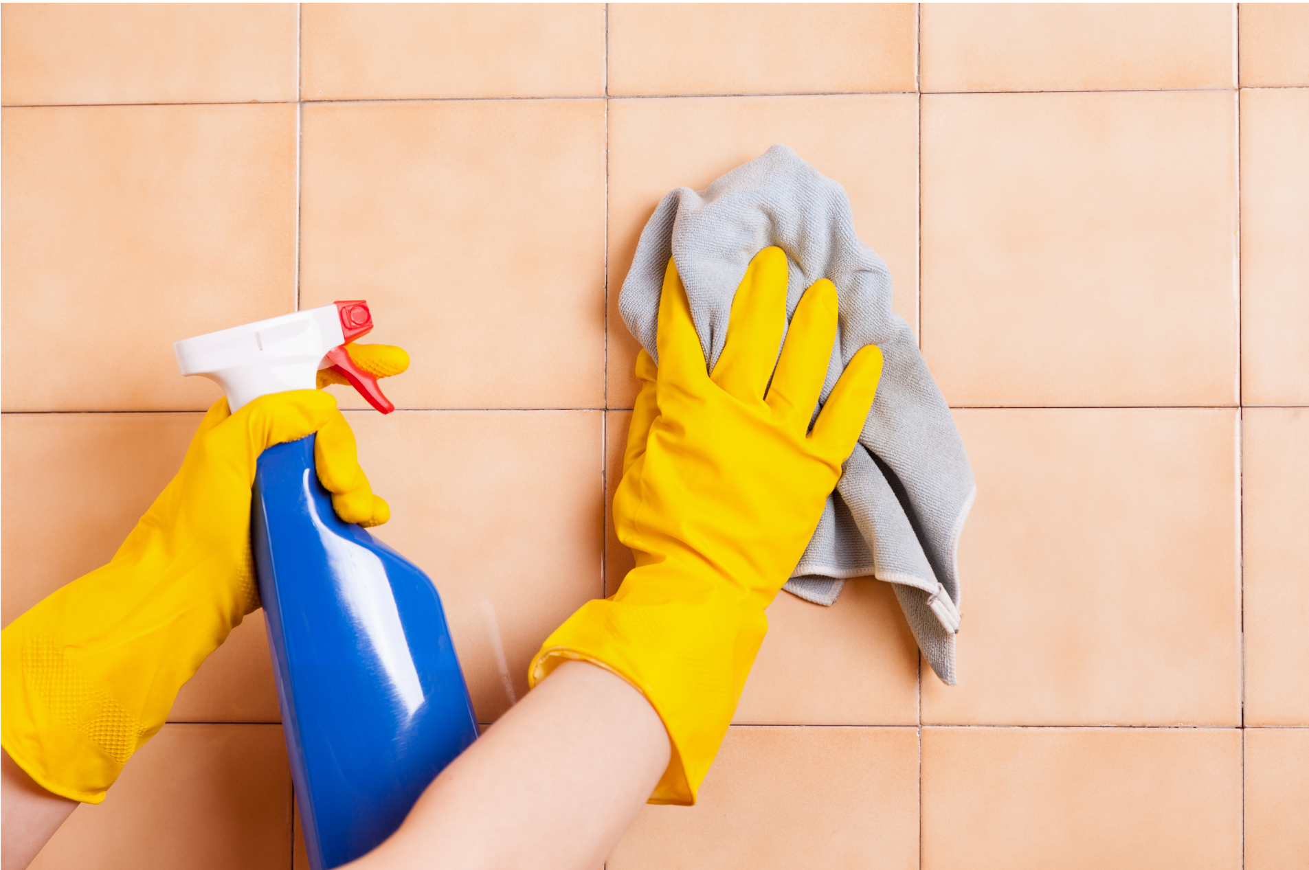 Standard/ Regualr Cleaning