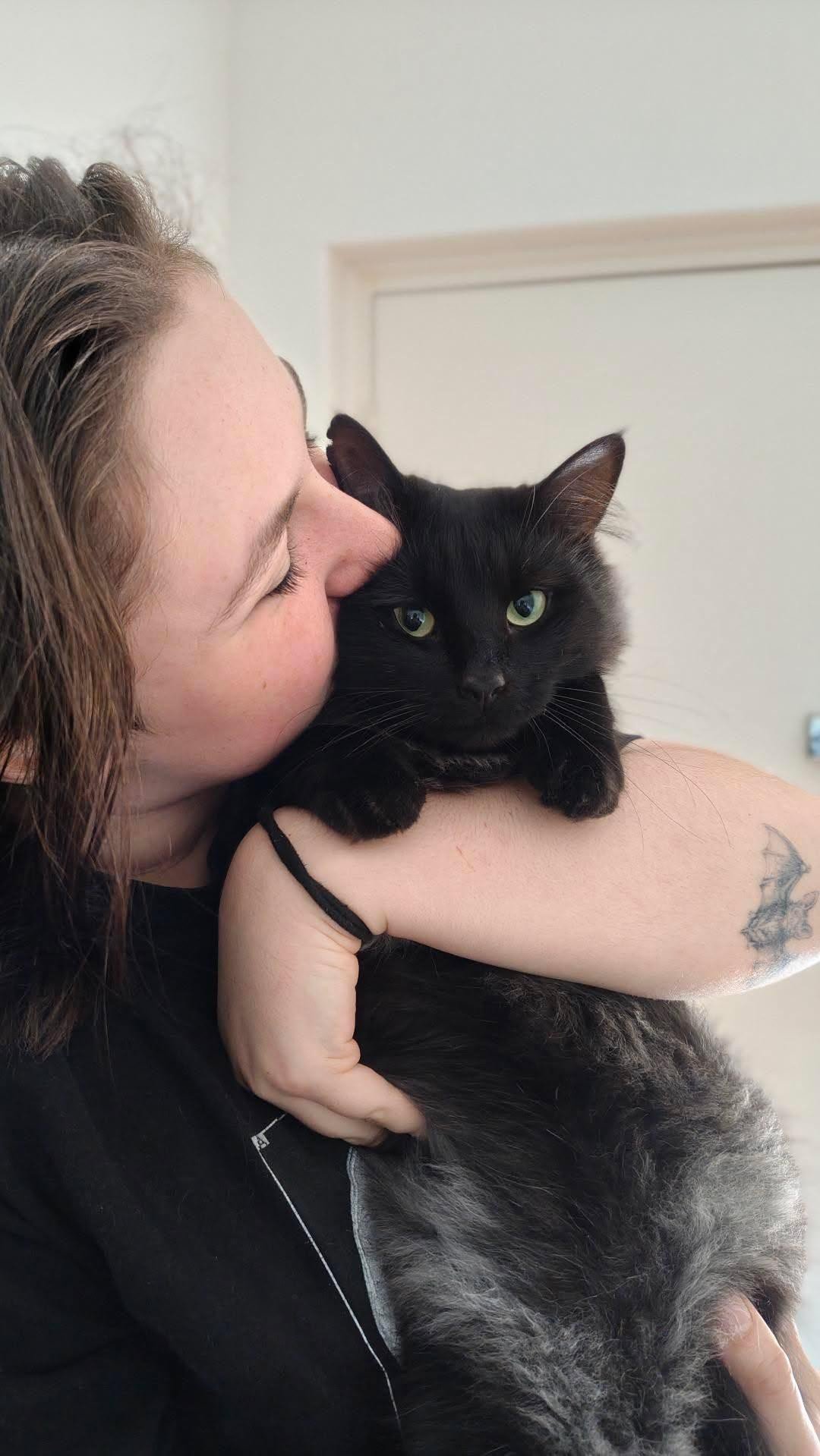 Person holding a black and white cat