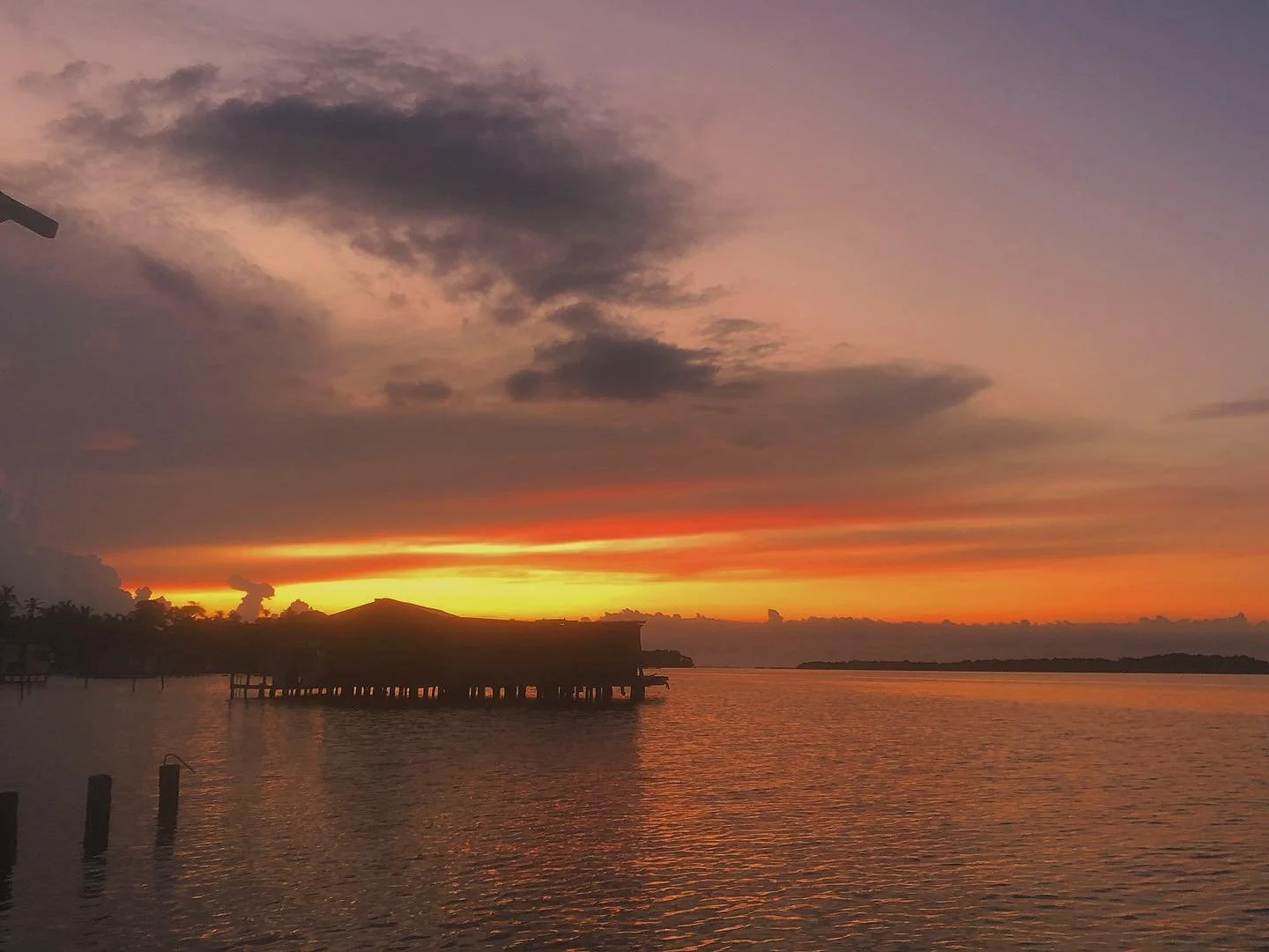 lake maracaibo and catatumbo⚡️🐖