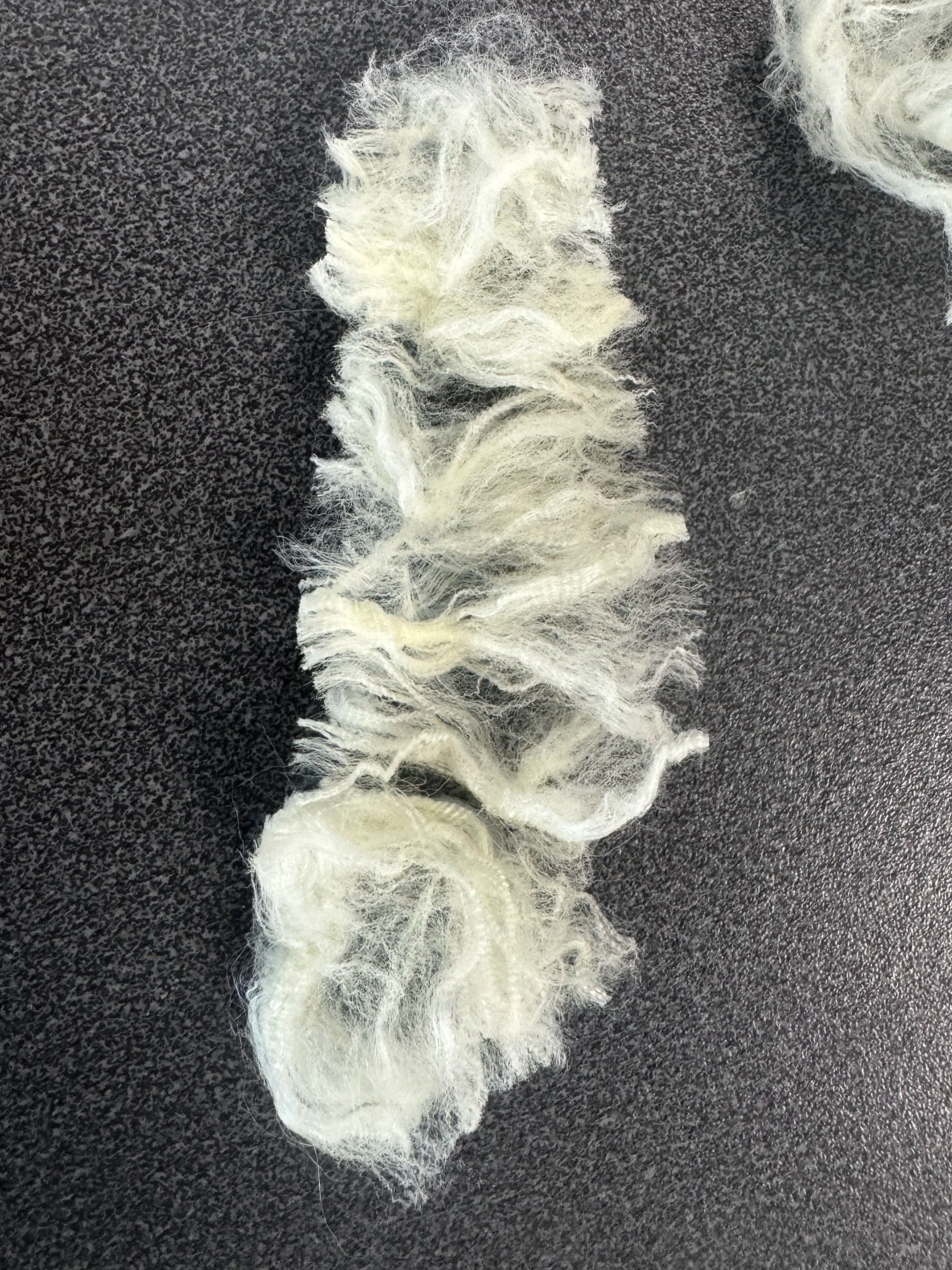 Crimped filament cut into staple fibre