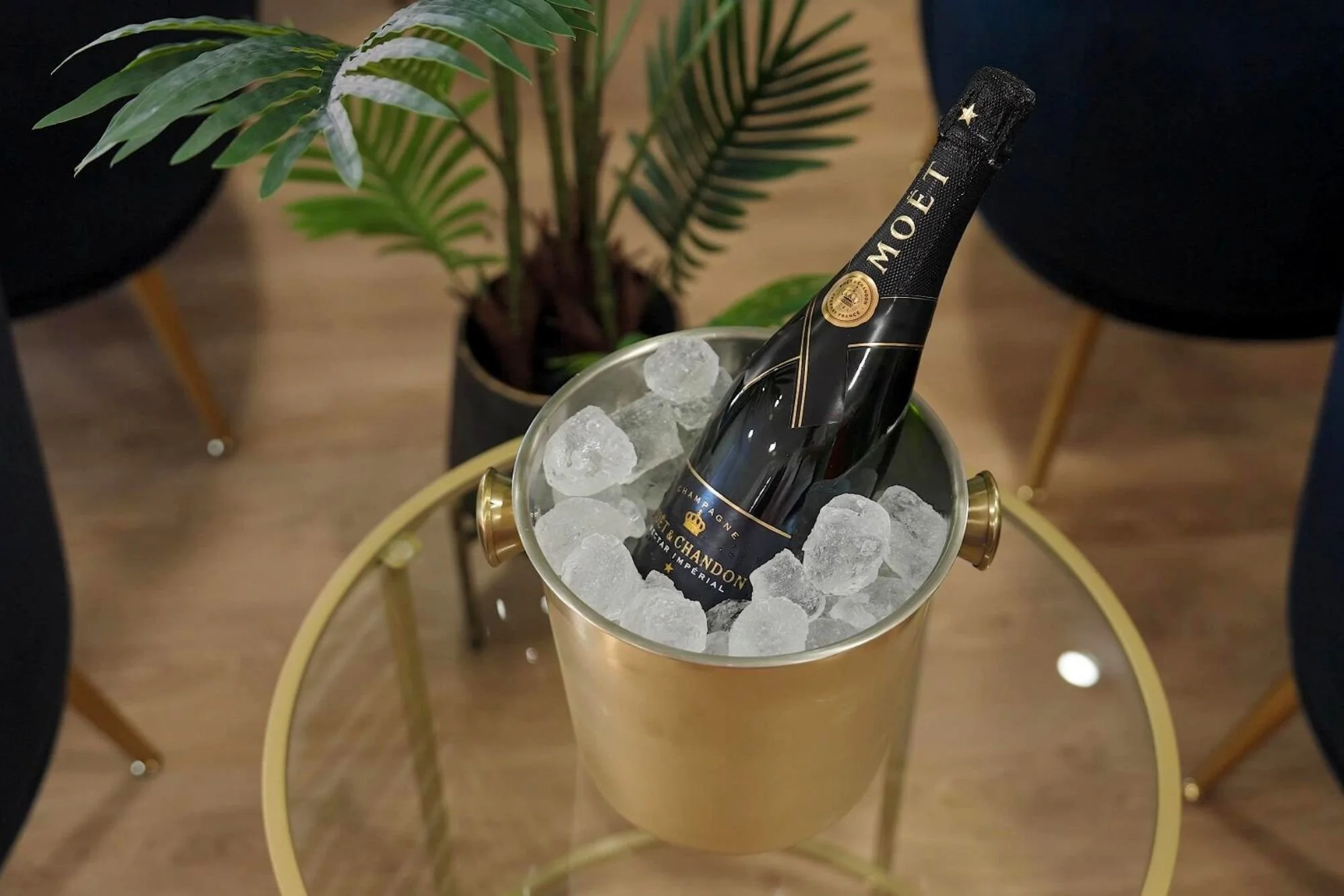 A bottle of Moët & Chandon champagne in a gold ice bucket filled with ice, placed on a round glass and gold table. A potted plant is in the background.