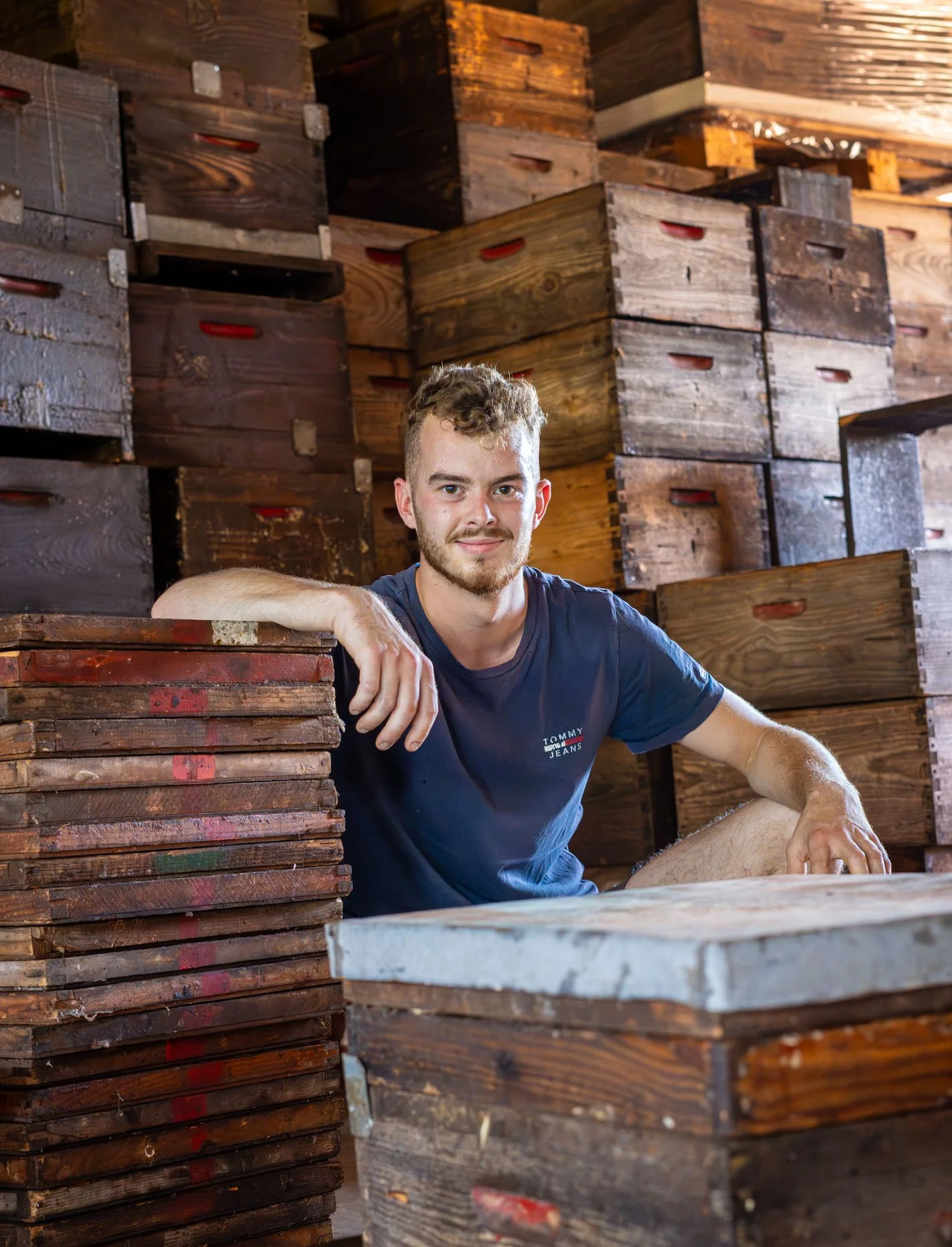 Au coeur de la ruche