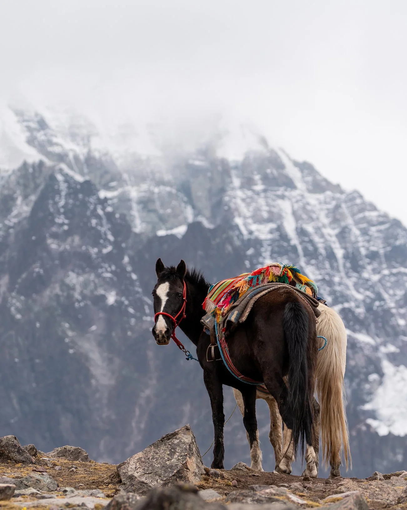 Chevauchée hivernale