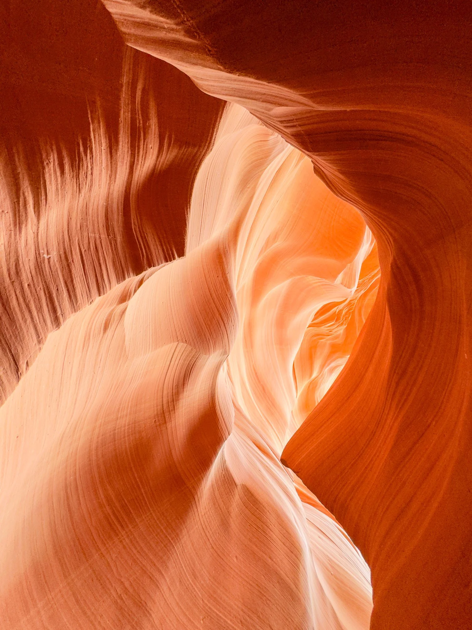 Vue d'une formation rocheuse profonde avec des courbes lisses et stratifiées dans des tons de beige et orange.