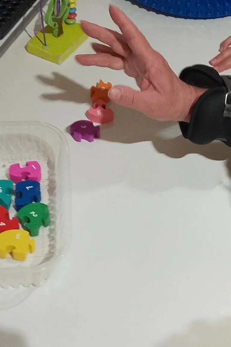 A person placing colorful numbered wooden animal shapes on a table, with additional animal shapes and other objects in the background.