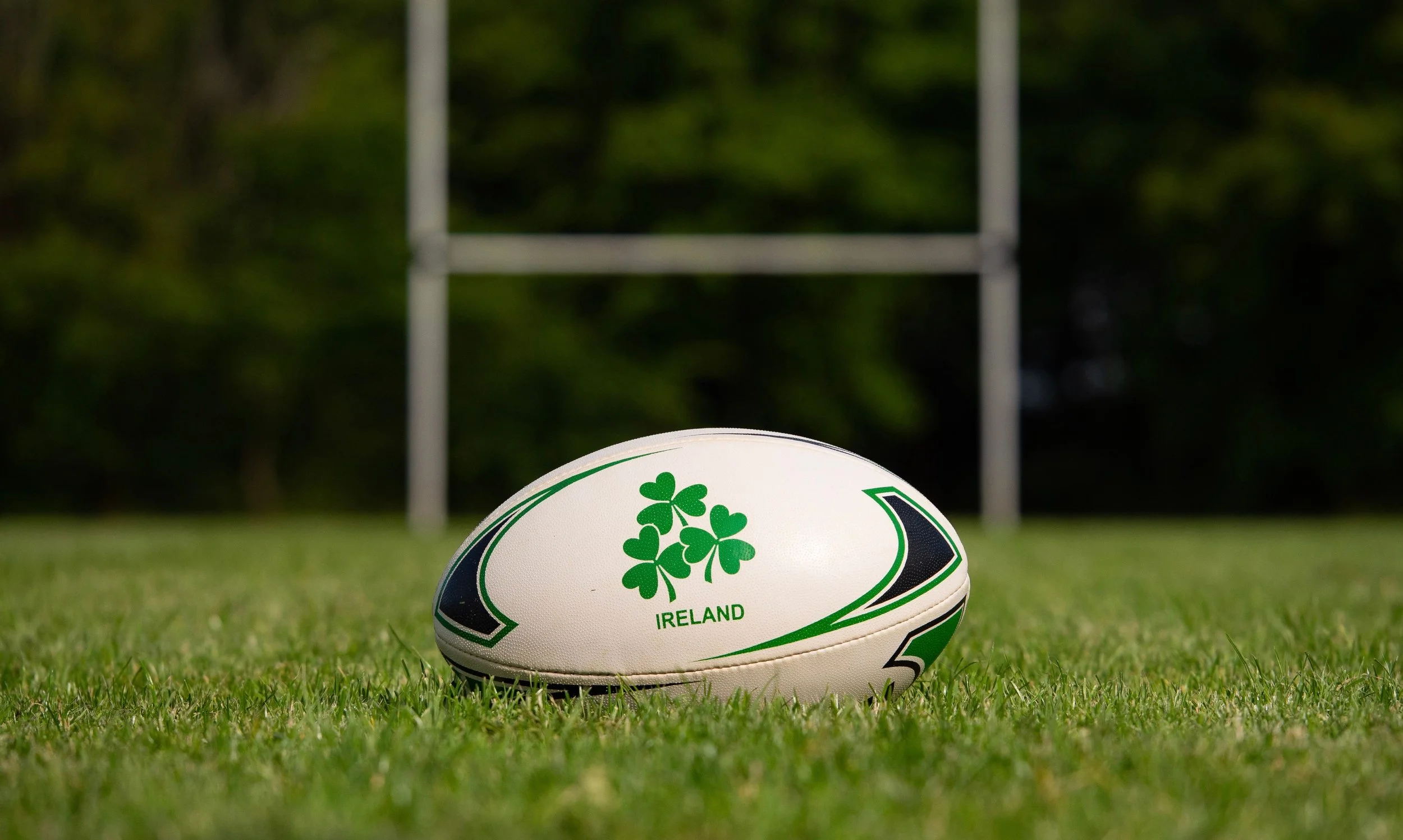 rugby internationals - ireland vs argentina 