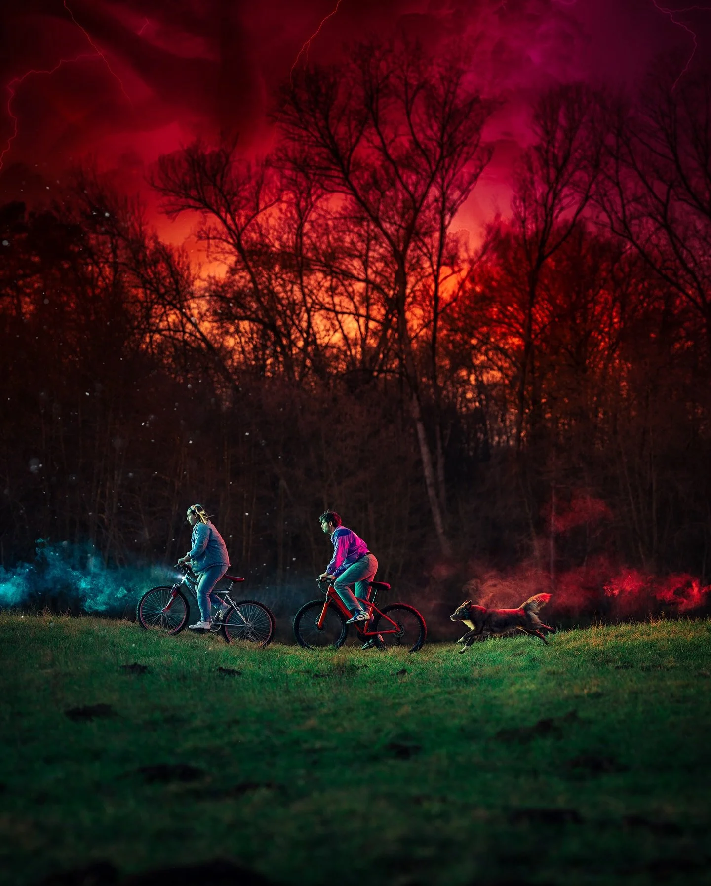 Welcome to the UpsideDown🚲

🔎 @sigmafotoitalia 105mm 1.4 DG HSM Art
📸 @canonitaliaspa eos R6
🤳🏼 1/1000 f2.2 iso 160
🔦 x2 @profoto A2 + gel blue/red
🔭 @kfconcept 
💨 @colborlight CF5

#madewithphotoshop #strangerthingsfan #creativephotographer
