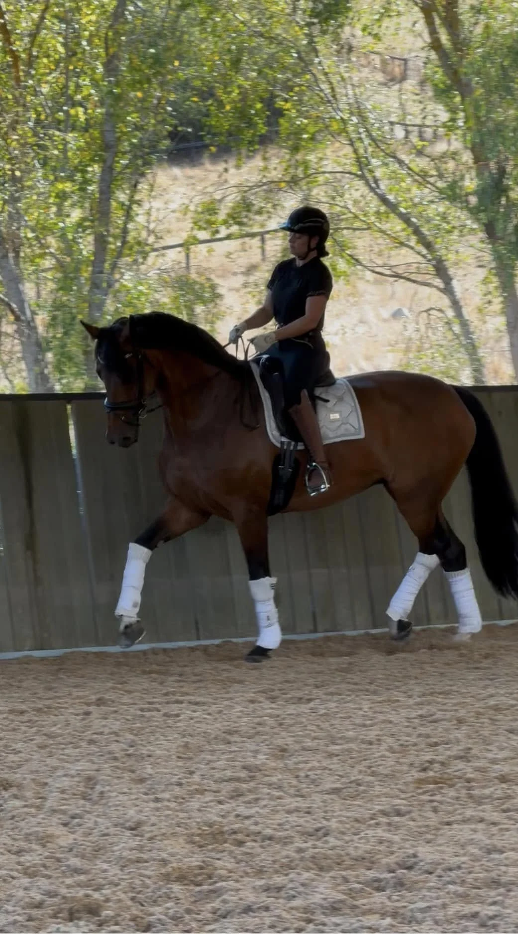 A person riding a brown horse in an indoor riding arena, wearing a black helmet, black shirt, and riding boots, with the horse’s legs wrapped in white bandages.