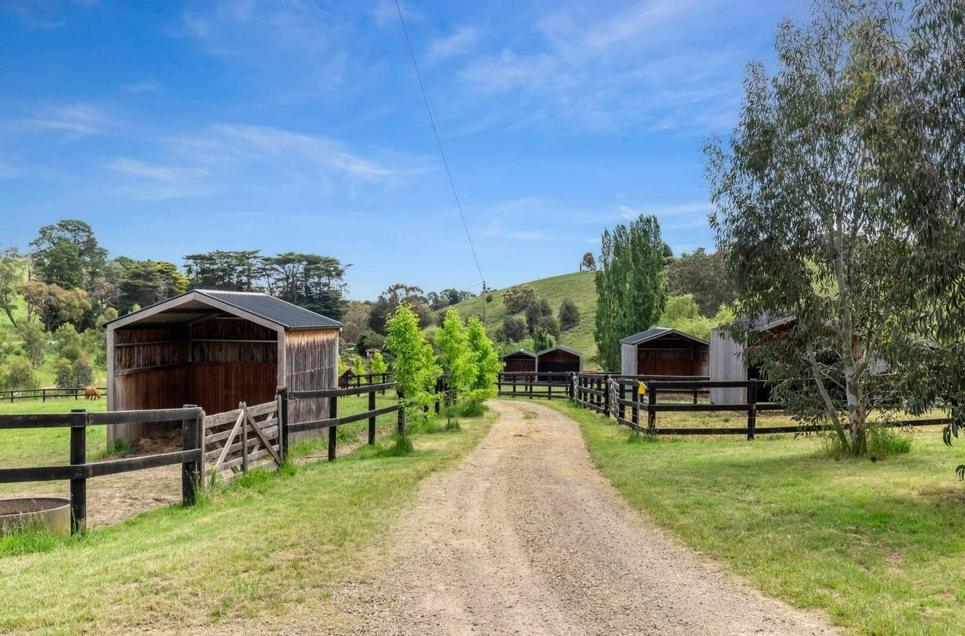 A rural farm scene with a dirt road leading past wooden barns surrounded by green trees and grass, under a blue sky with a few clouds.