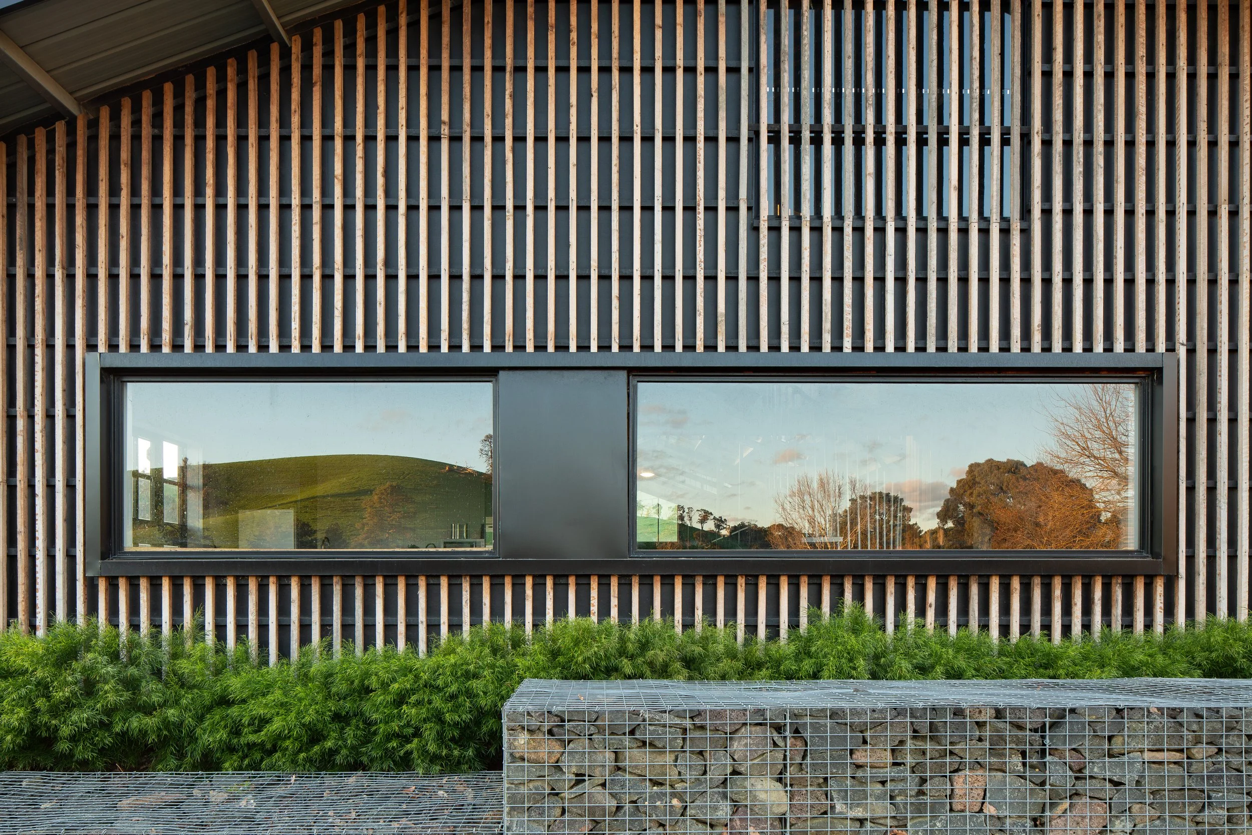 Close-up of a modern building's exterior with a horizontal rectangular window, wooden vertical slats, green shrubbery, and a ground cover of rocks and wire mesh.