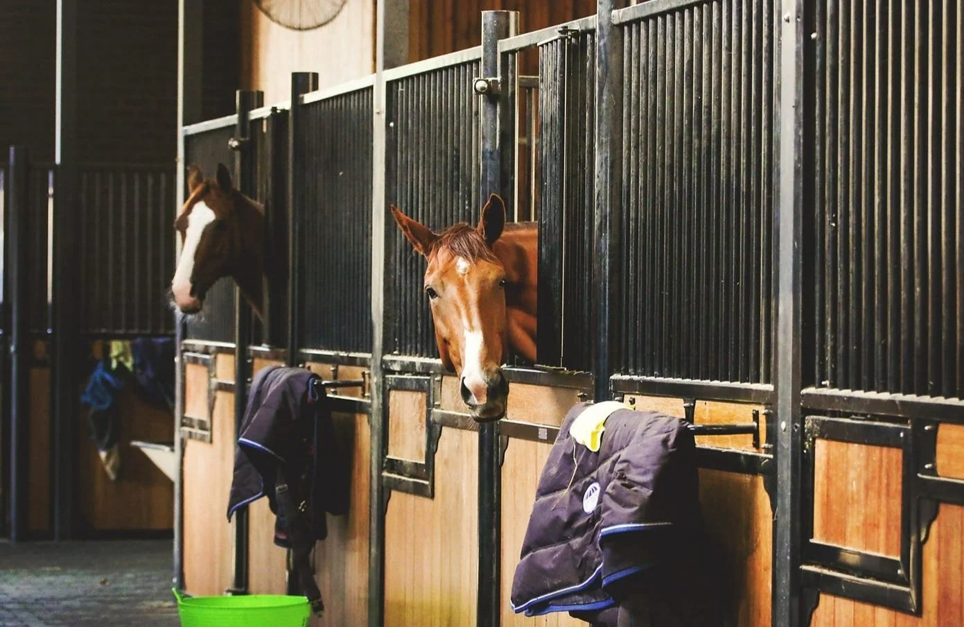 Two horses in a stable, one looking out of its stall and the other turned away.