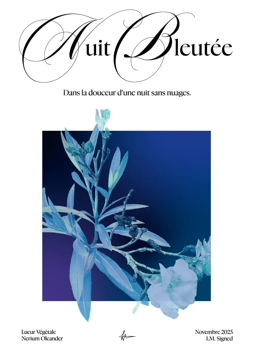 Plan de travail 1-100.jpg