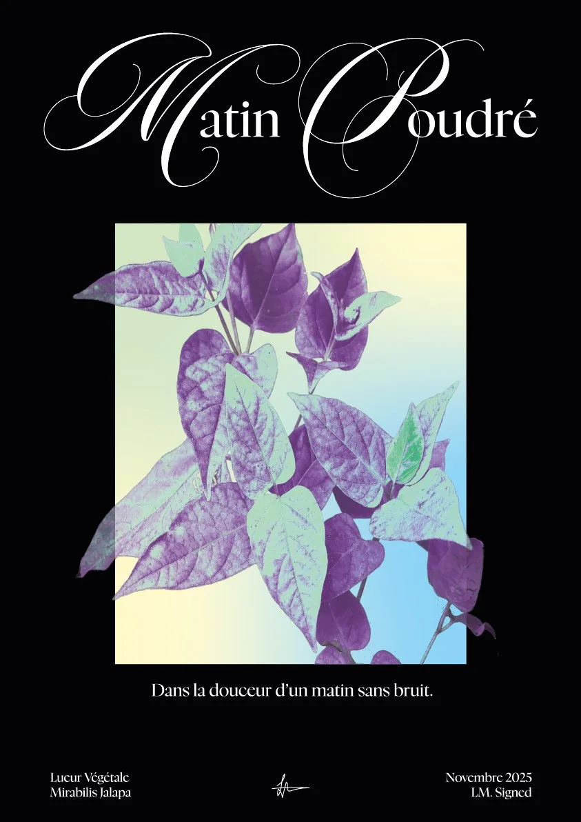 Plan de travail 2-100.jpg