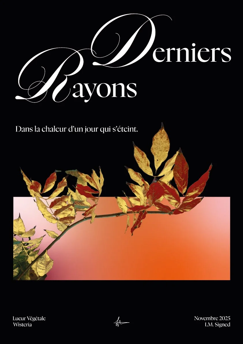 Plan de travail 3-100.jpg