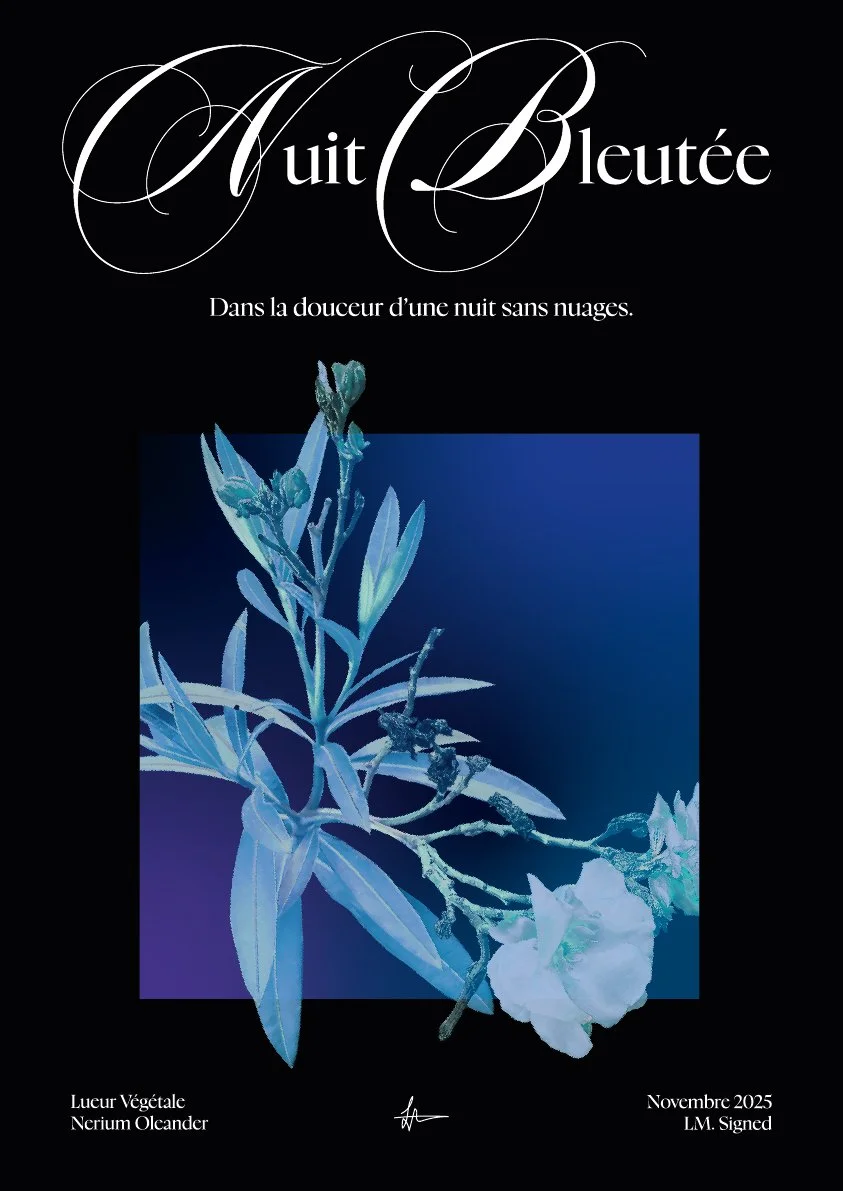 Plan de travail 1 copie-100.jpg